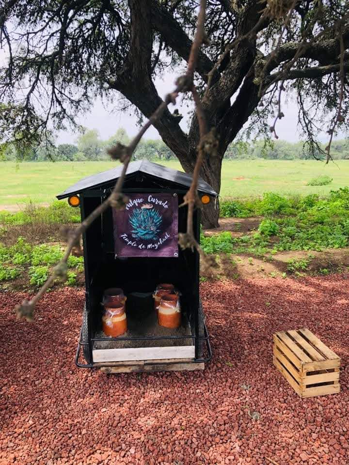 "El Rinconcito del Sabor" image 3