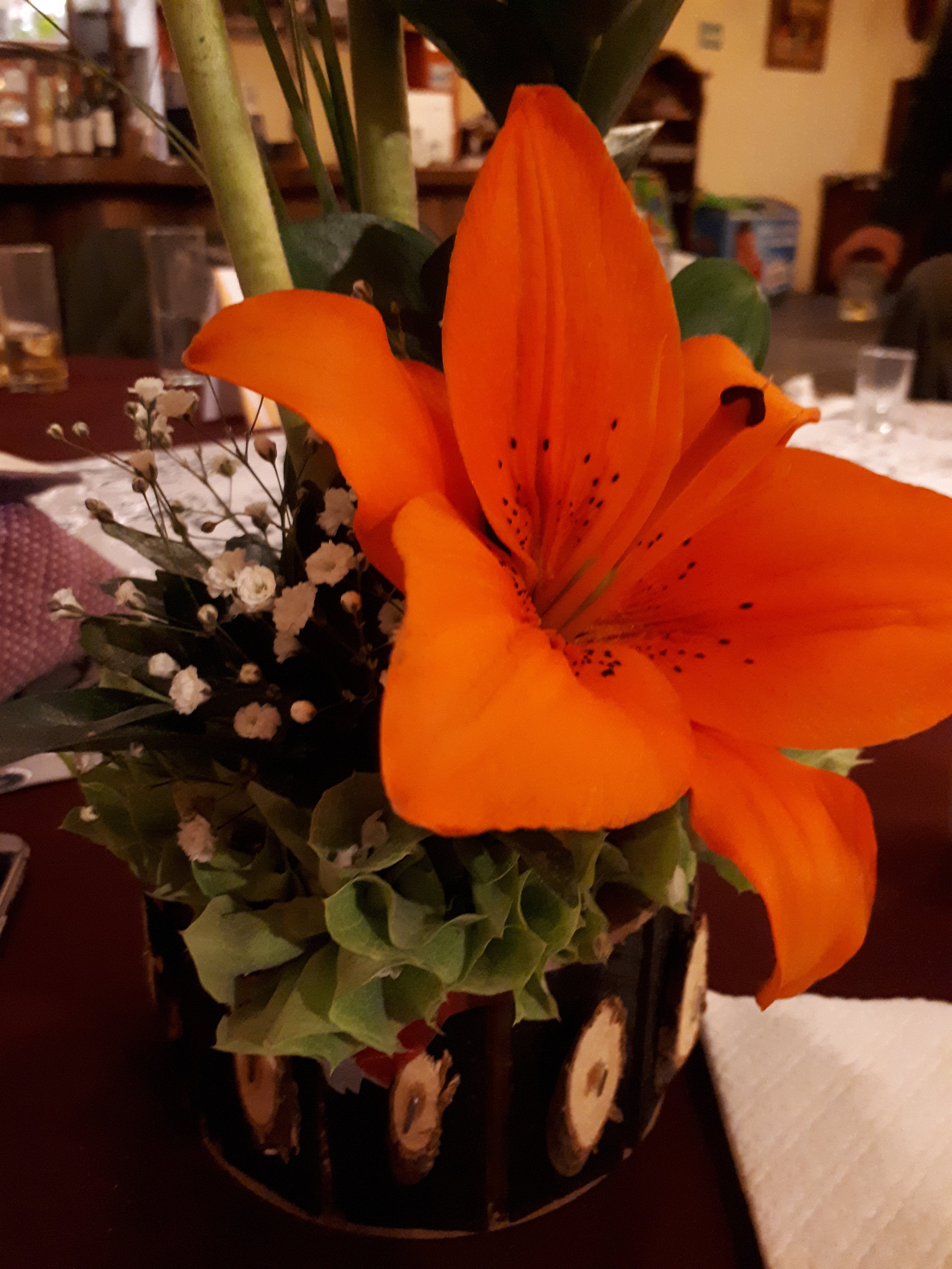 Selectos Choice image 8