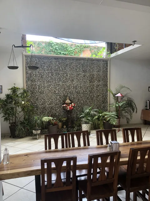 Cafe-Restaurant "La Alameda" image 5