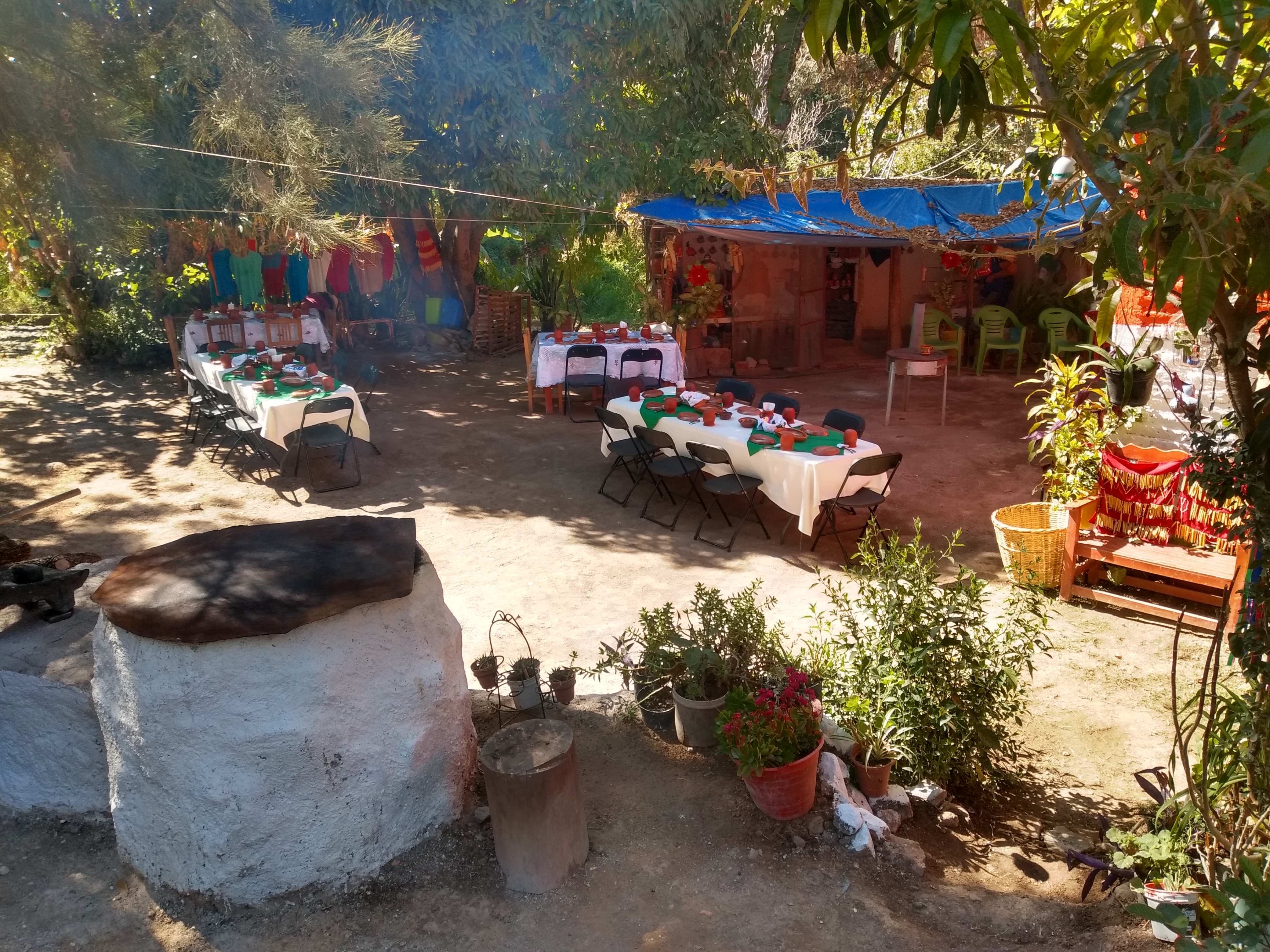 La tía lancho image 1