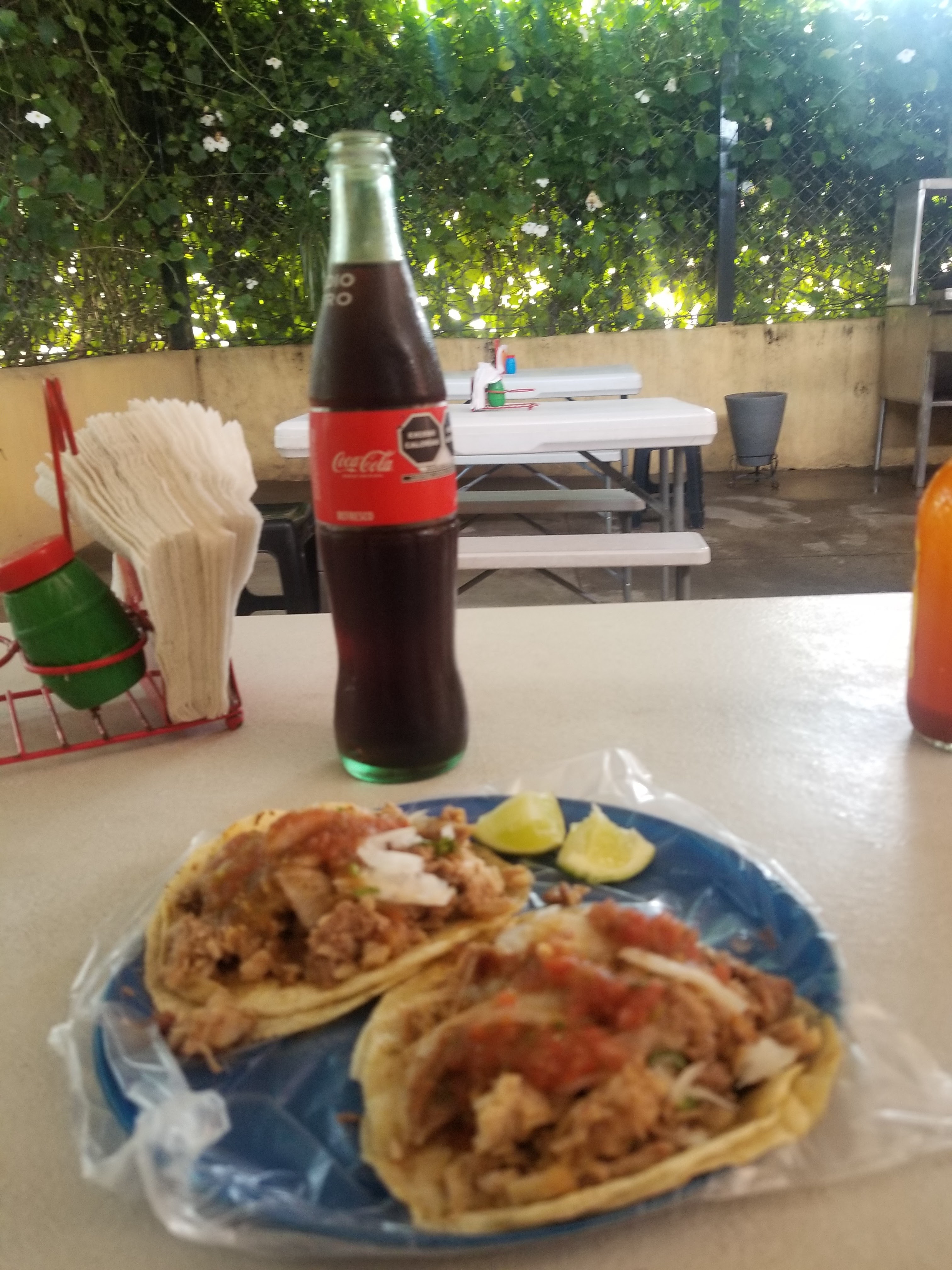 CARNITAS EL PRIMO image 2