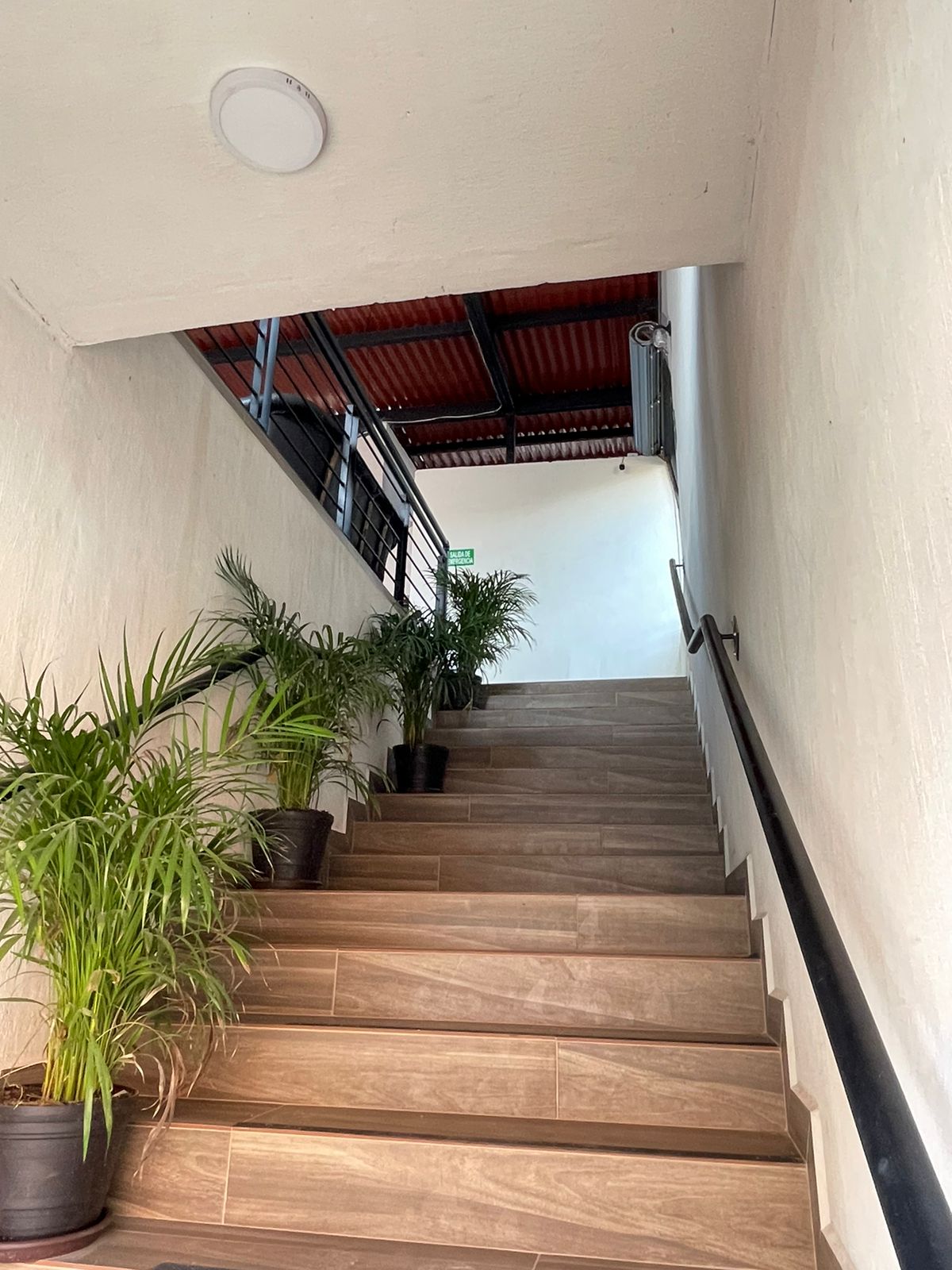 Mariscos selectos especialidades image 8