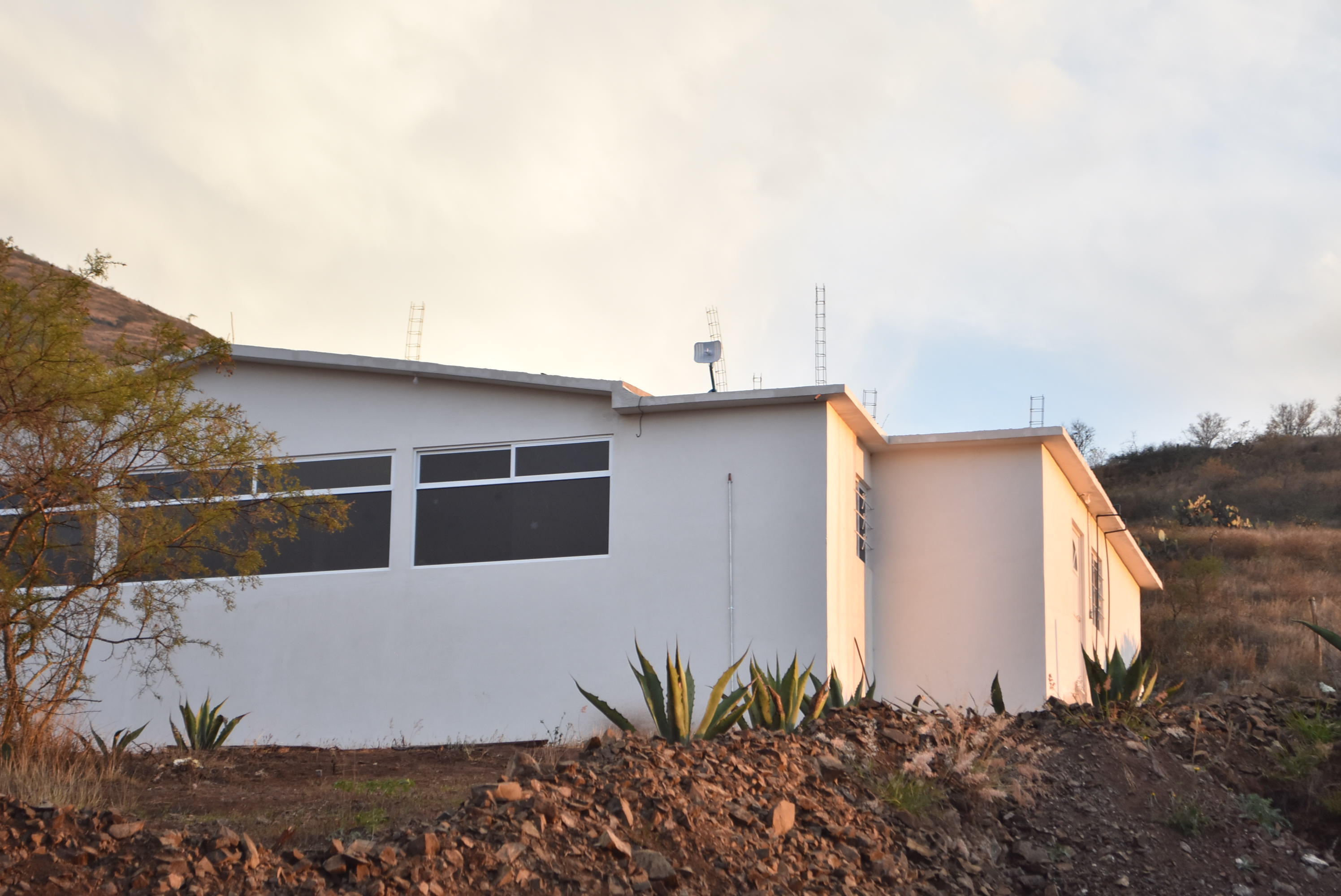Cardenalito image 3