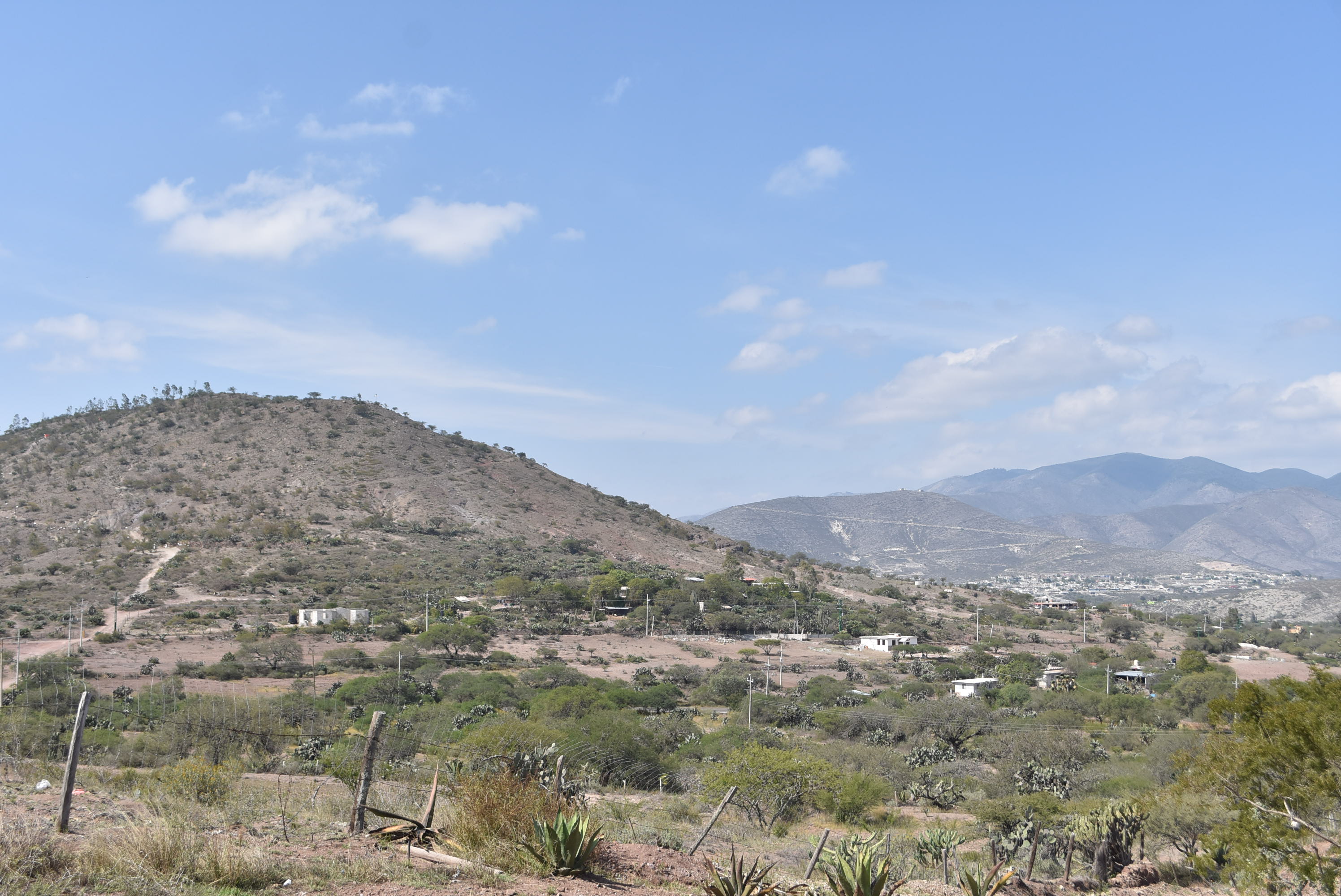 Cardenalito image 5