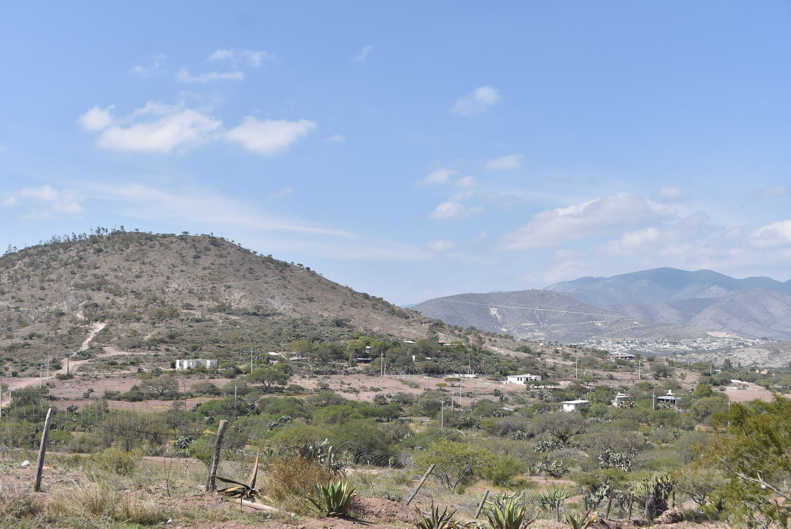 Cardenalito image 5