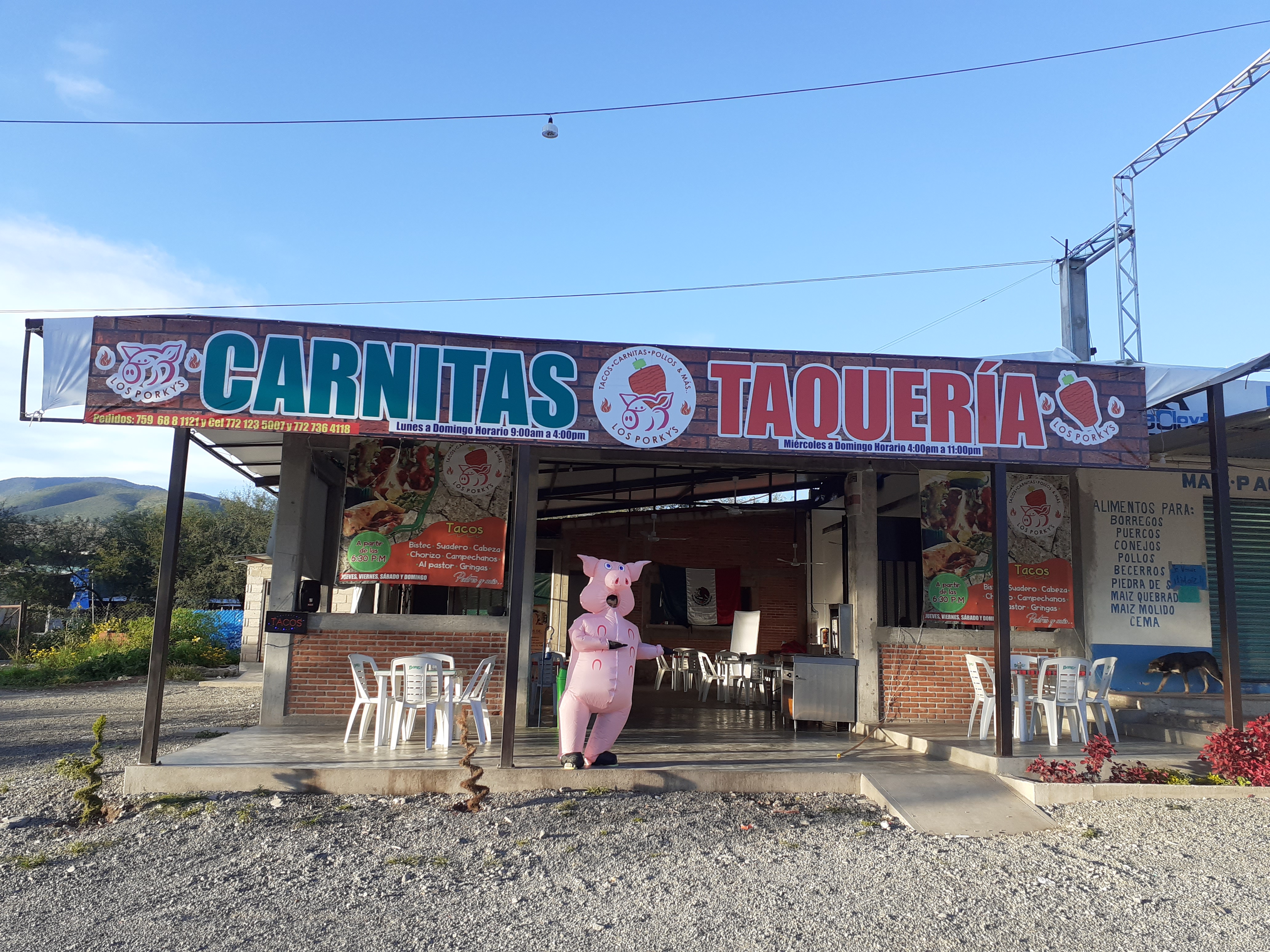 Pollos, Carnitas y Queretanas " Los Porky's" image 1