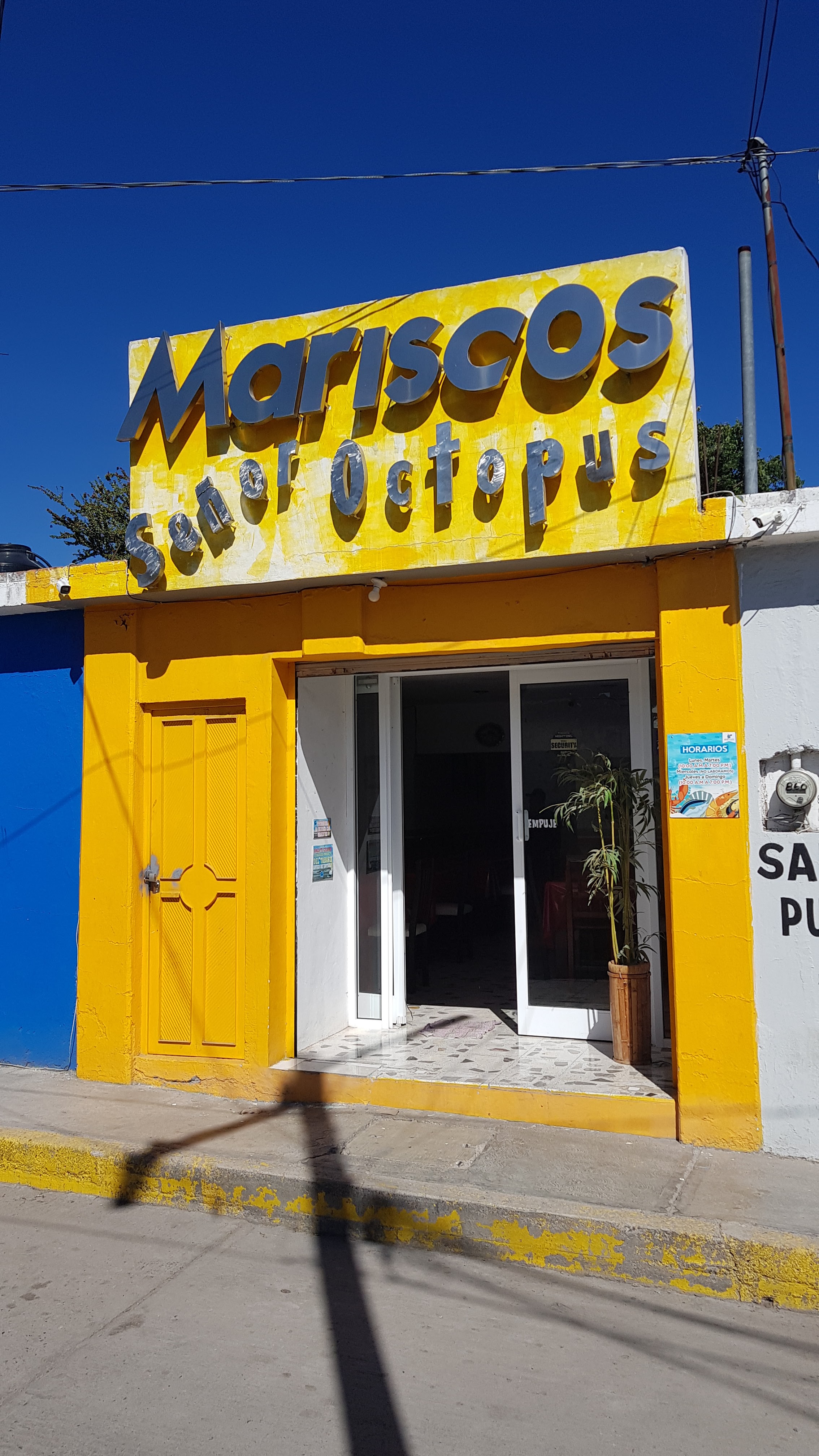 Mariscos señor octopus image 2