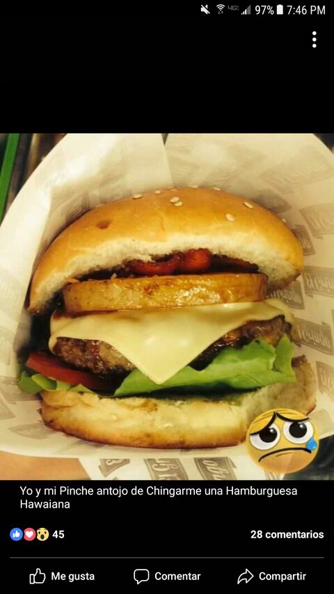 Hamburguesas Y HotDogs image 6
