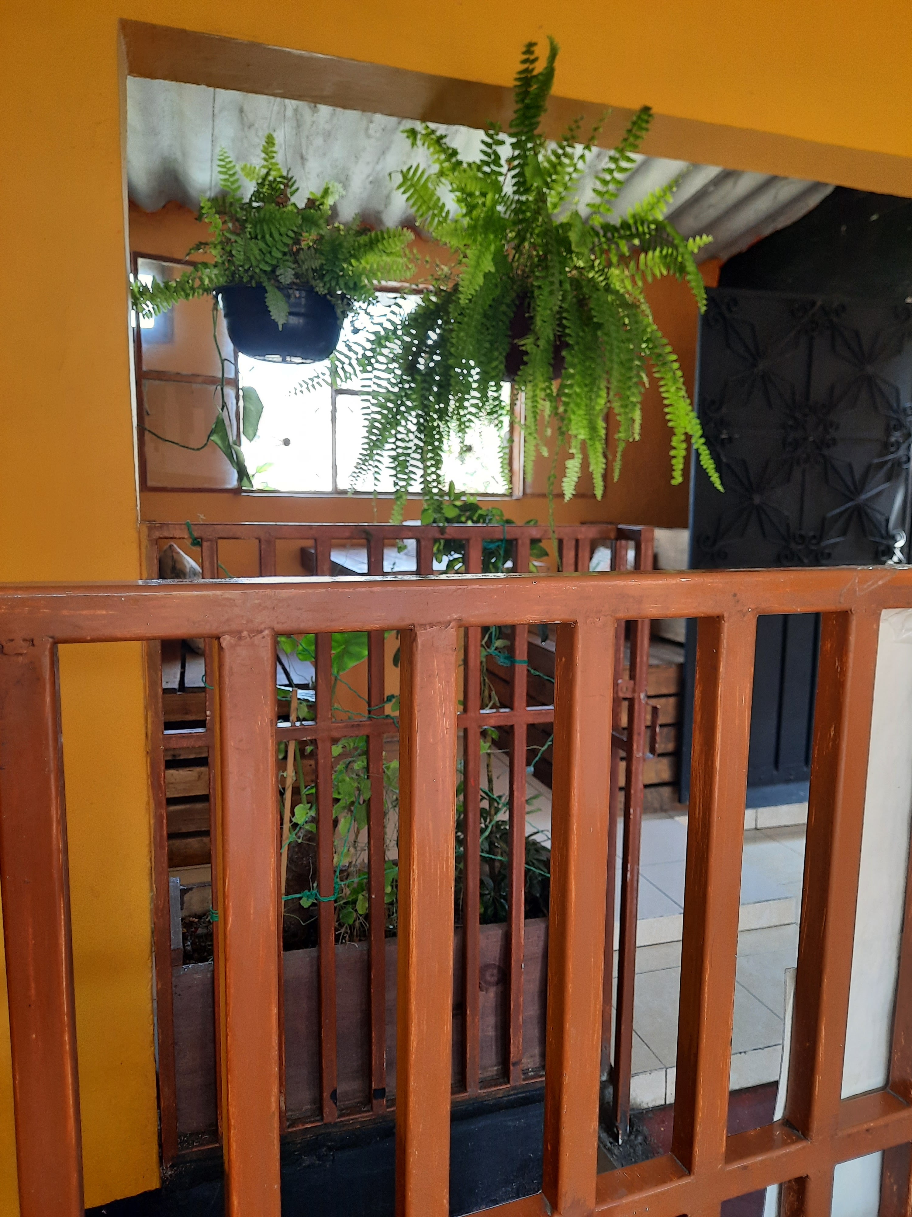 Estacion Brooklyn Restaurant & coffe image 5