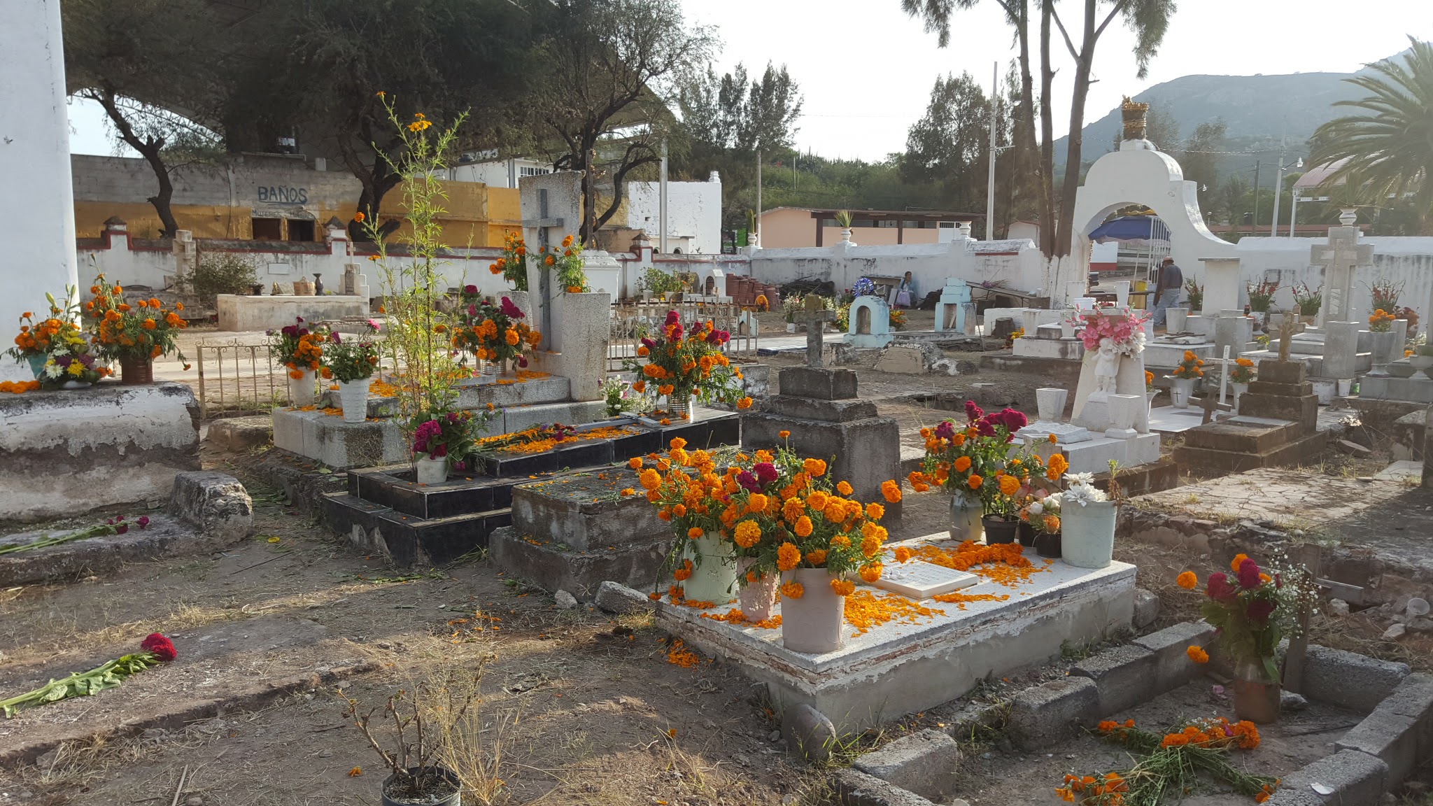 Taquería El Pato image 6