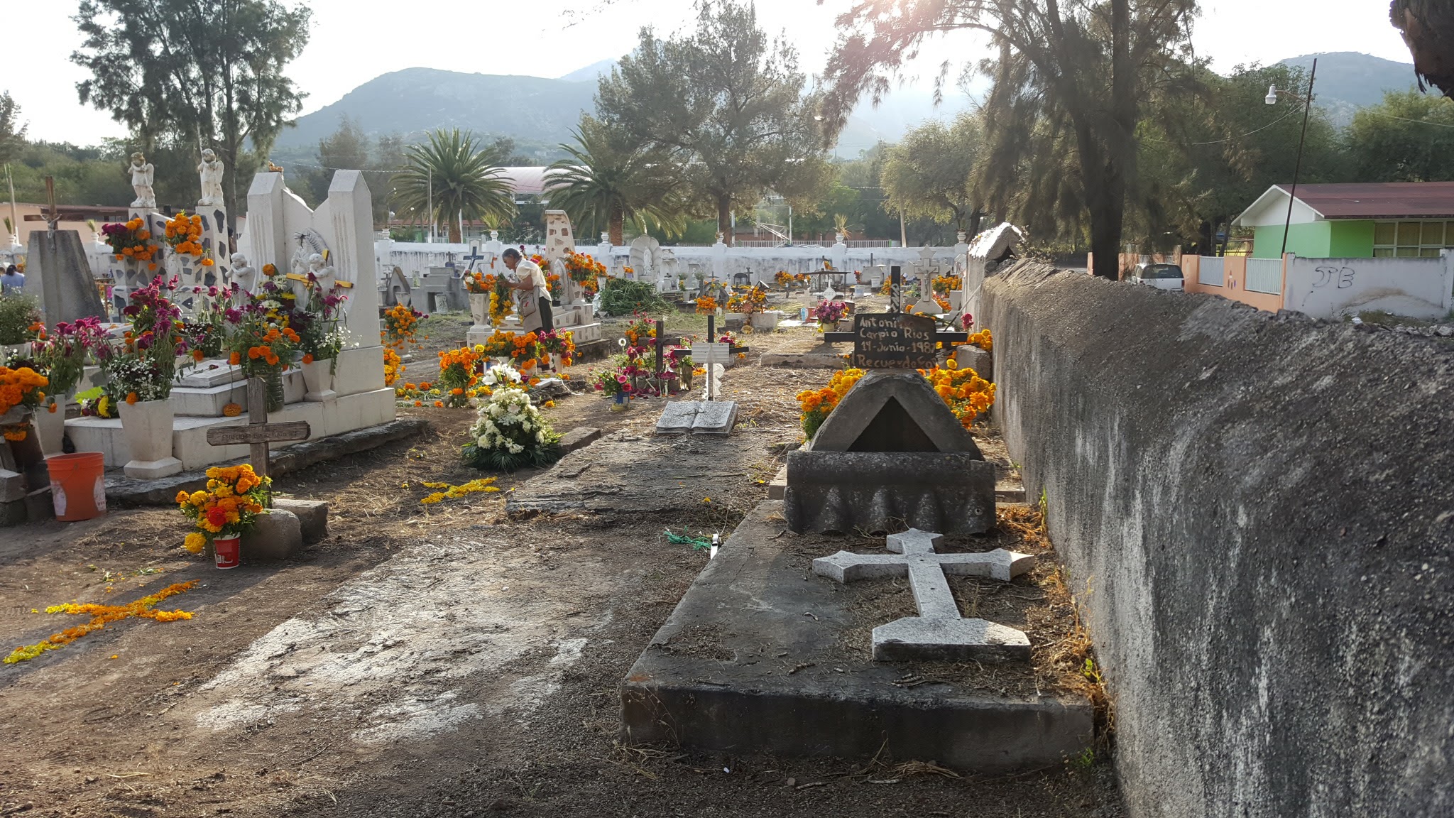 Taquería El Pato image 9