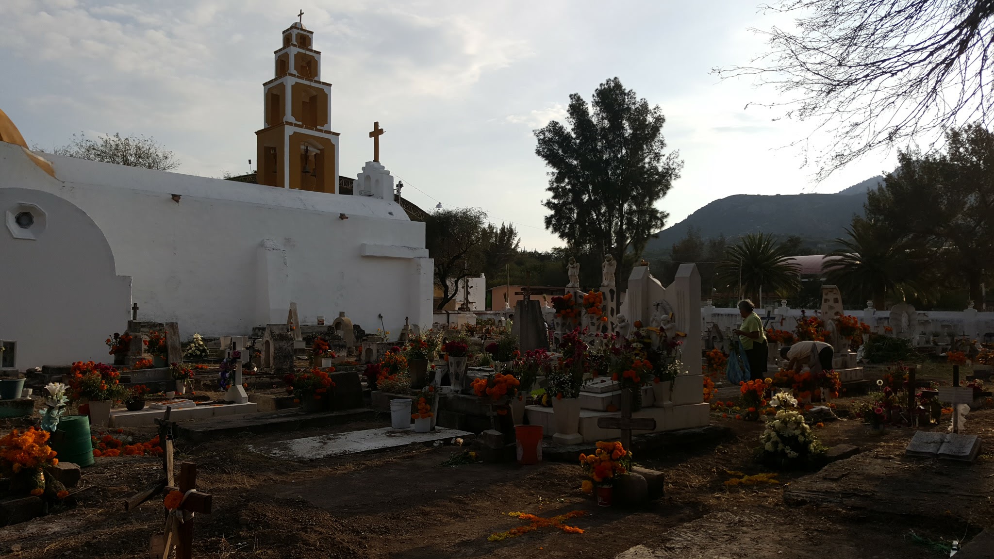 Taquería El Pato image 10