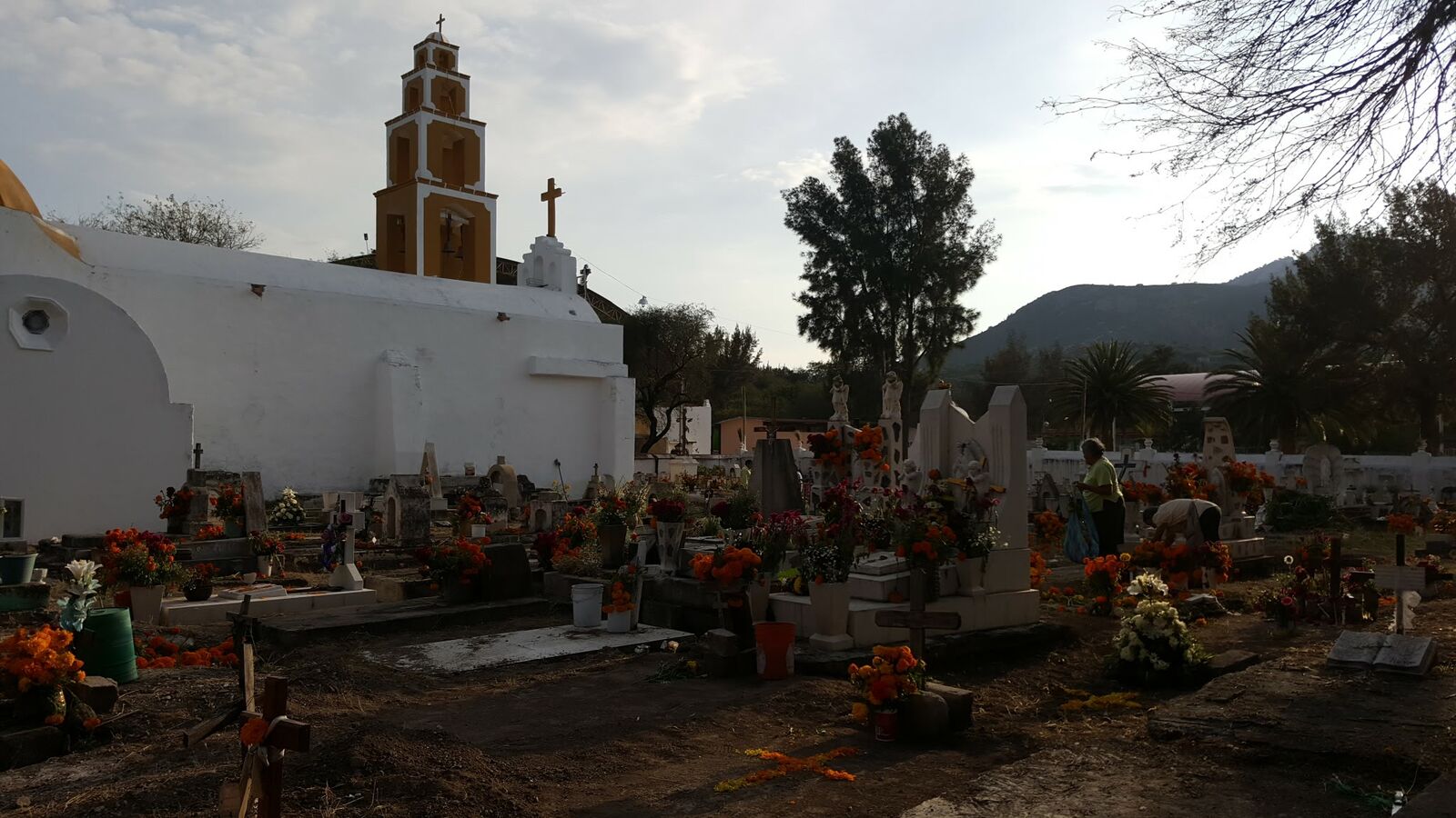Taquería El Pato image 10