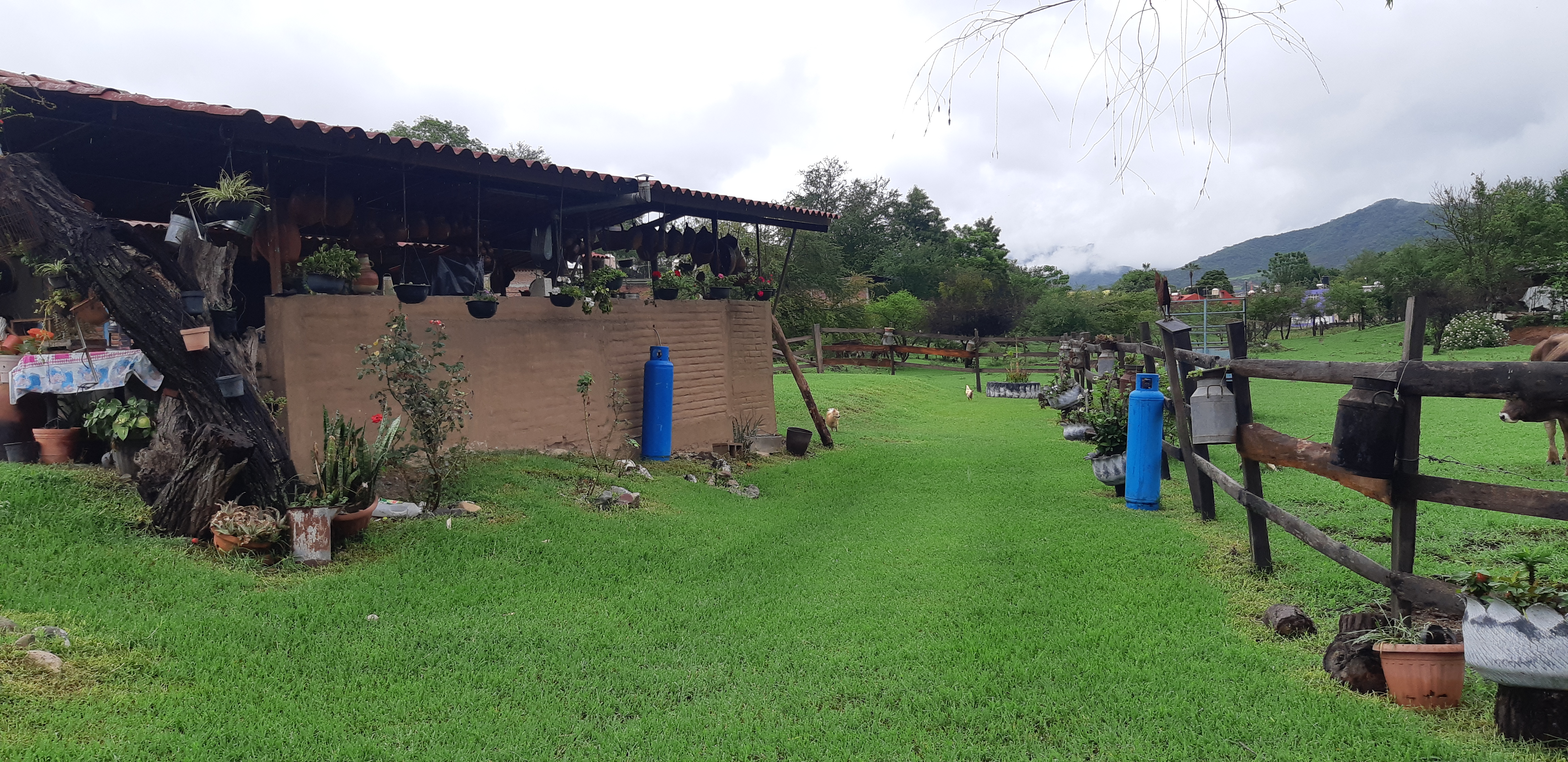 Desayunador Doña Chuyita image 2