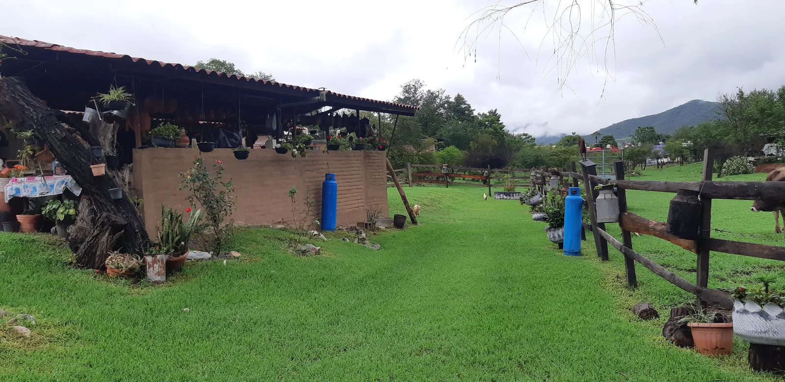Desayunador Doña Chuyita image 2