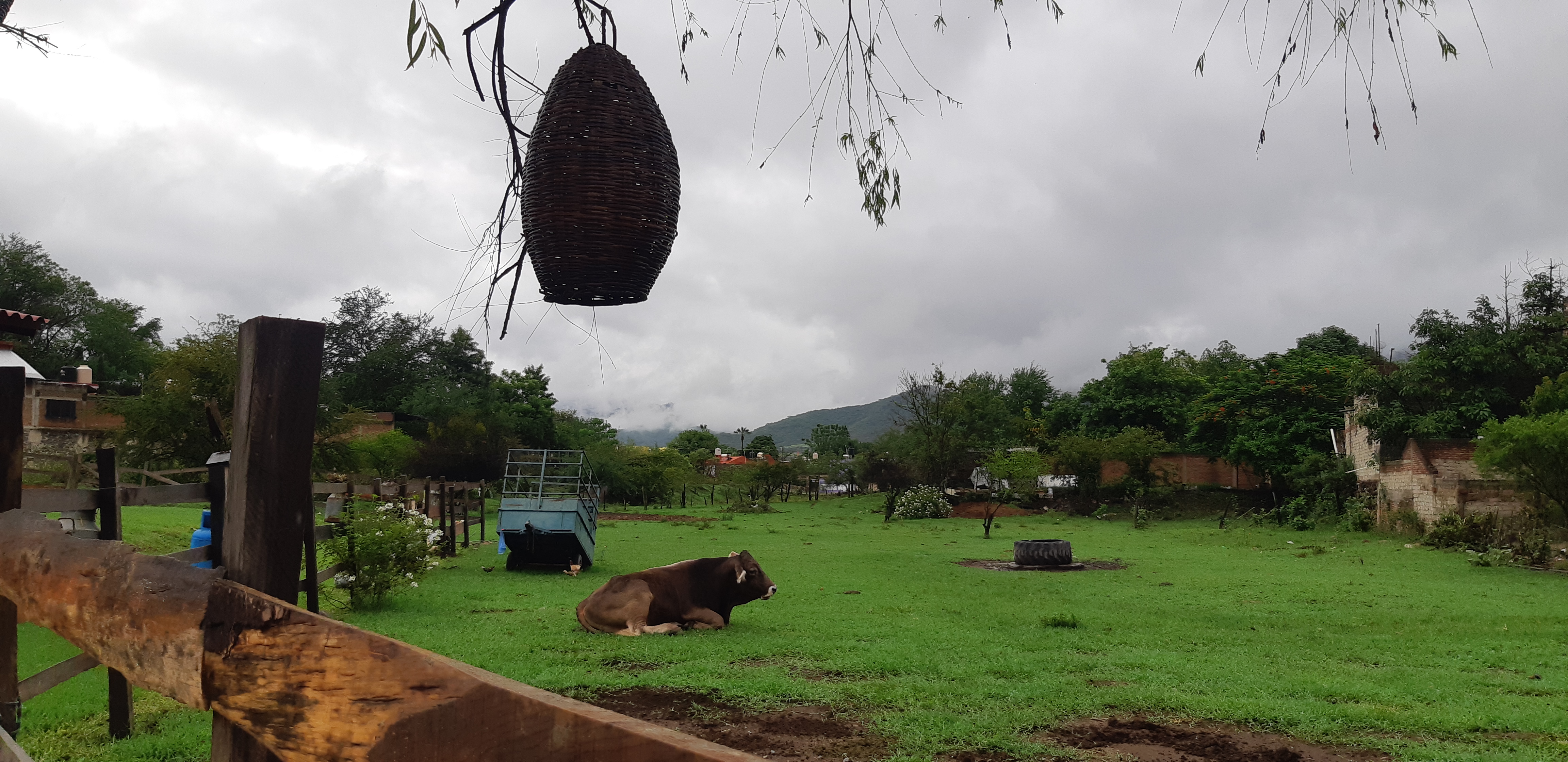 Desayunador Doña Chuyita image 6