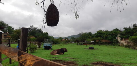Desayunador Doña Chuyita image 6