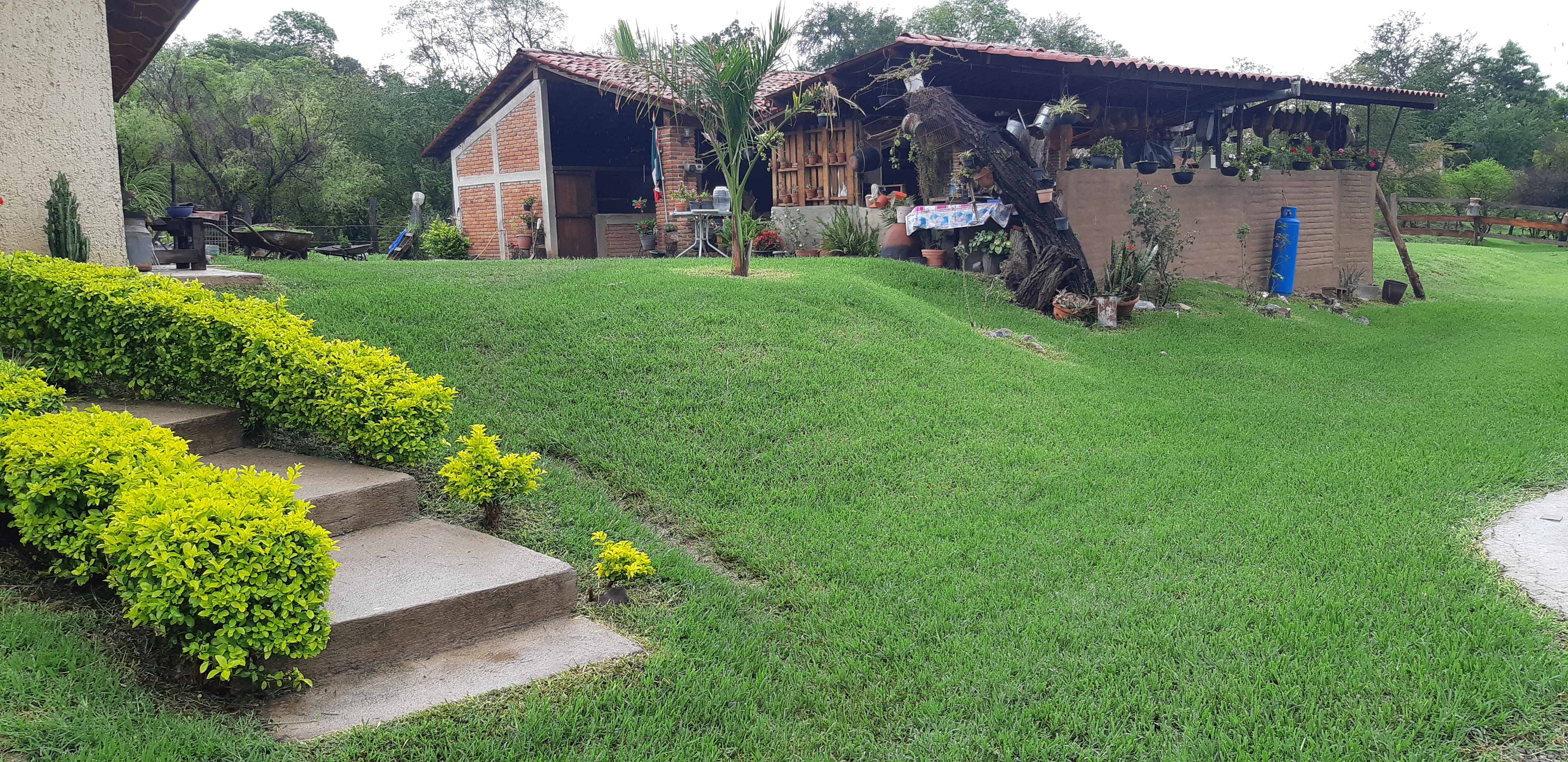 Desayunador Doña Chuyita image 9