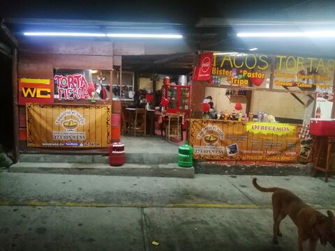 taqueria el sazón image 1