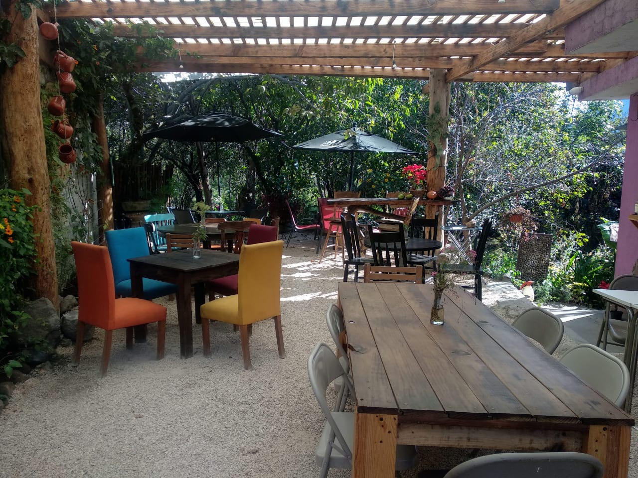 punto rojo cerveza image 1