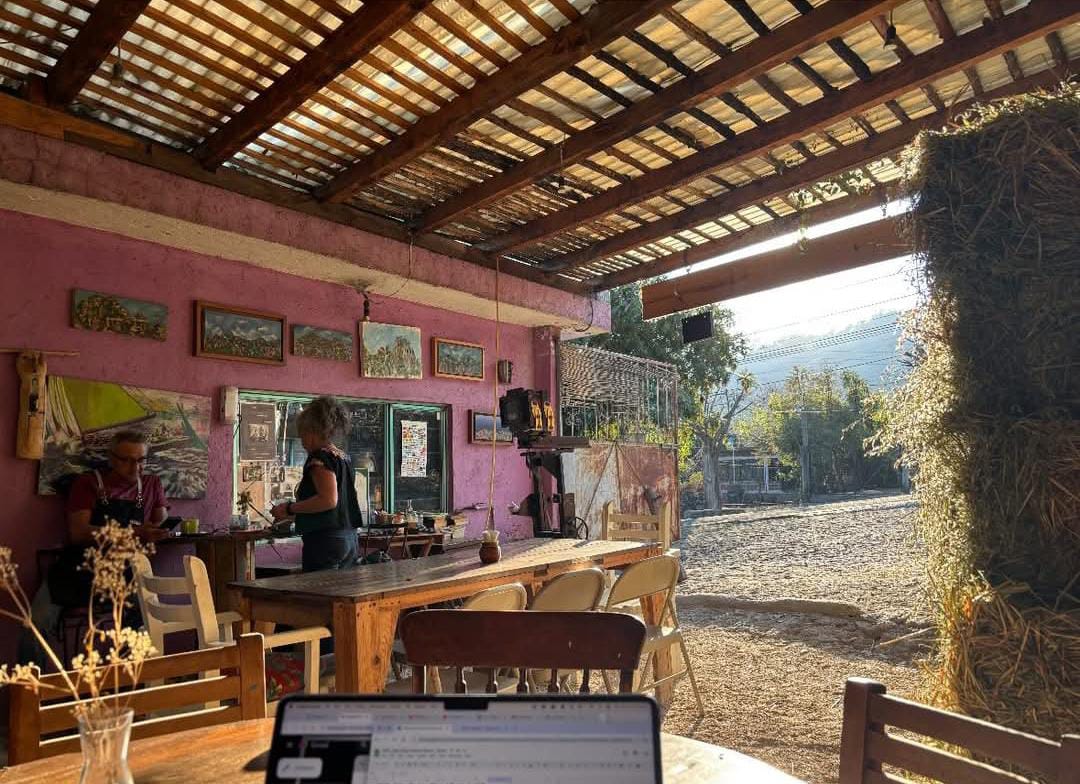 punto rojo cerveza image 2