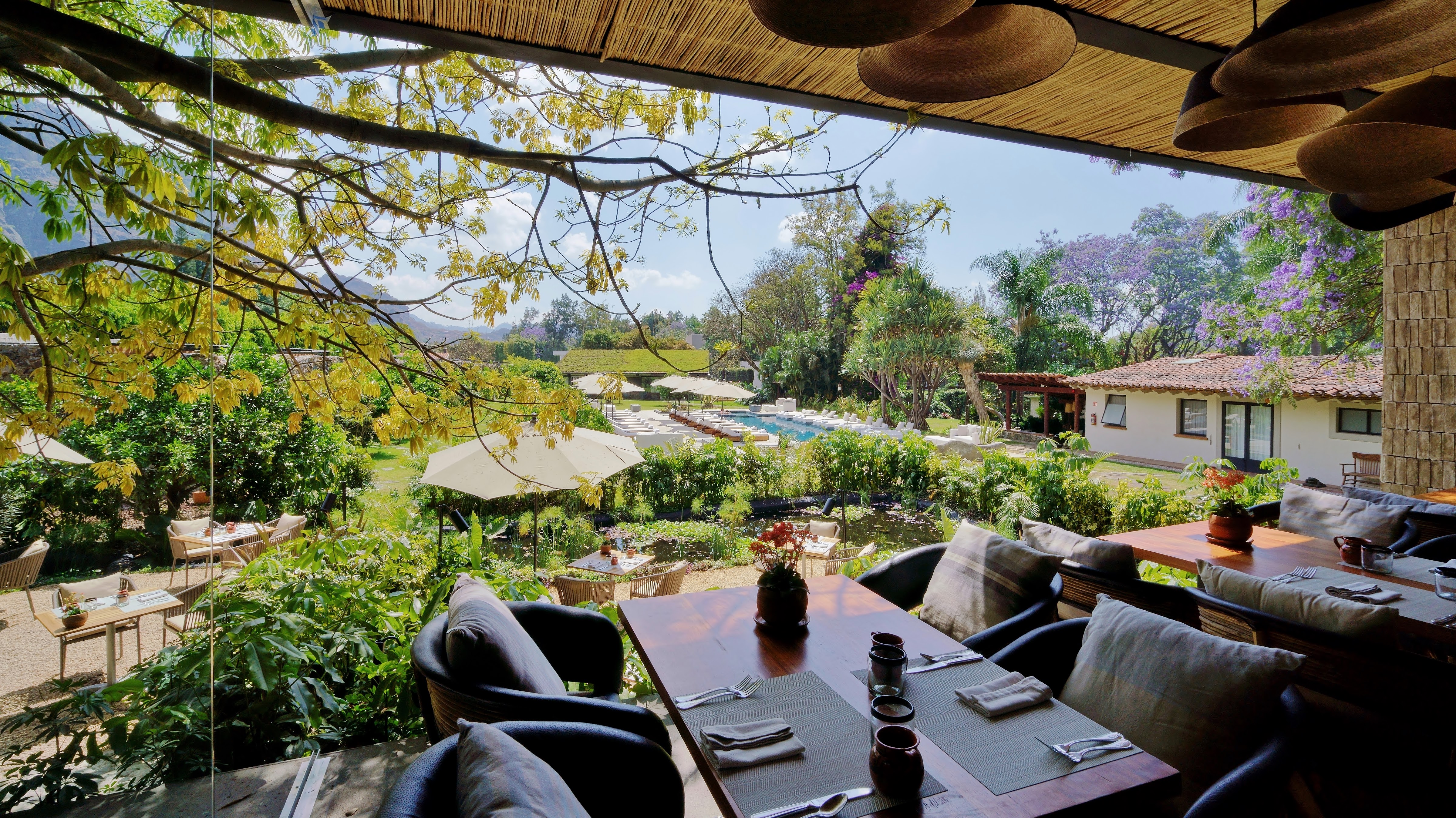 Mesa de Origen image 1