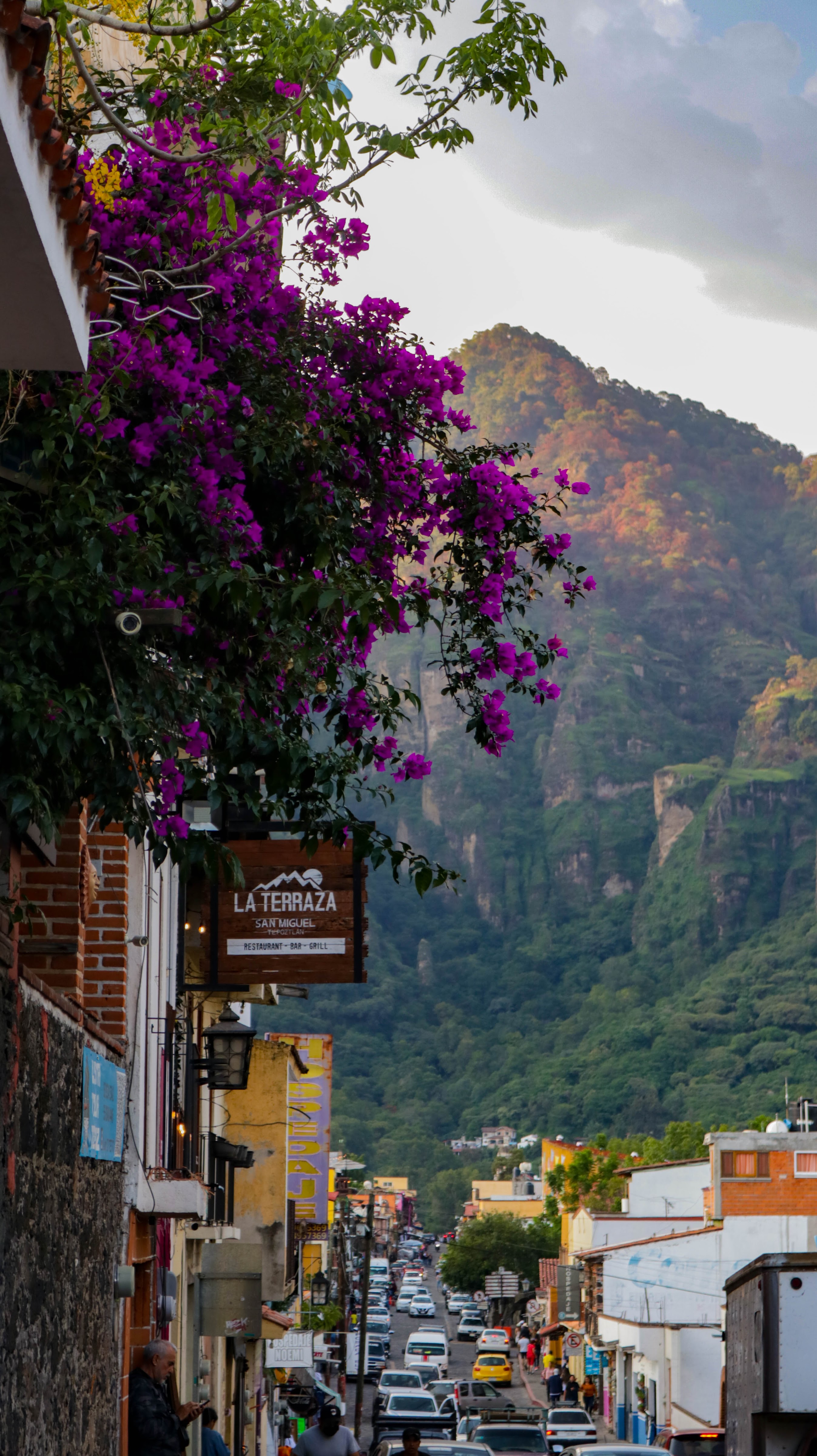 Terraza San Miguel en Tepoztlán image 3