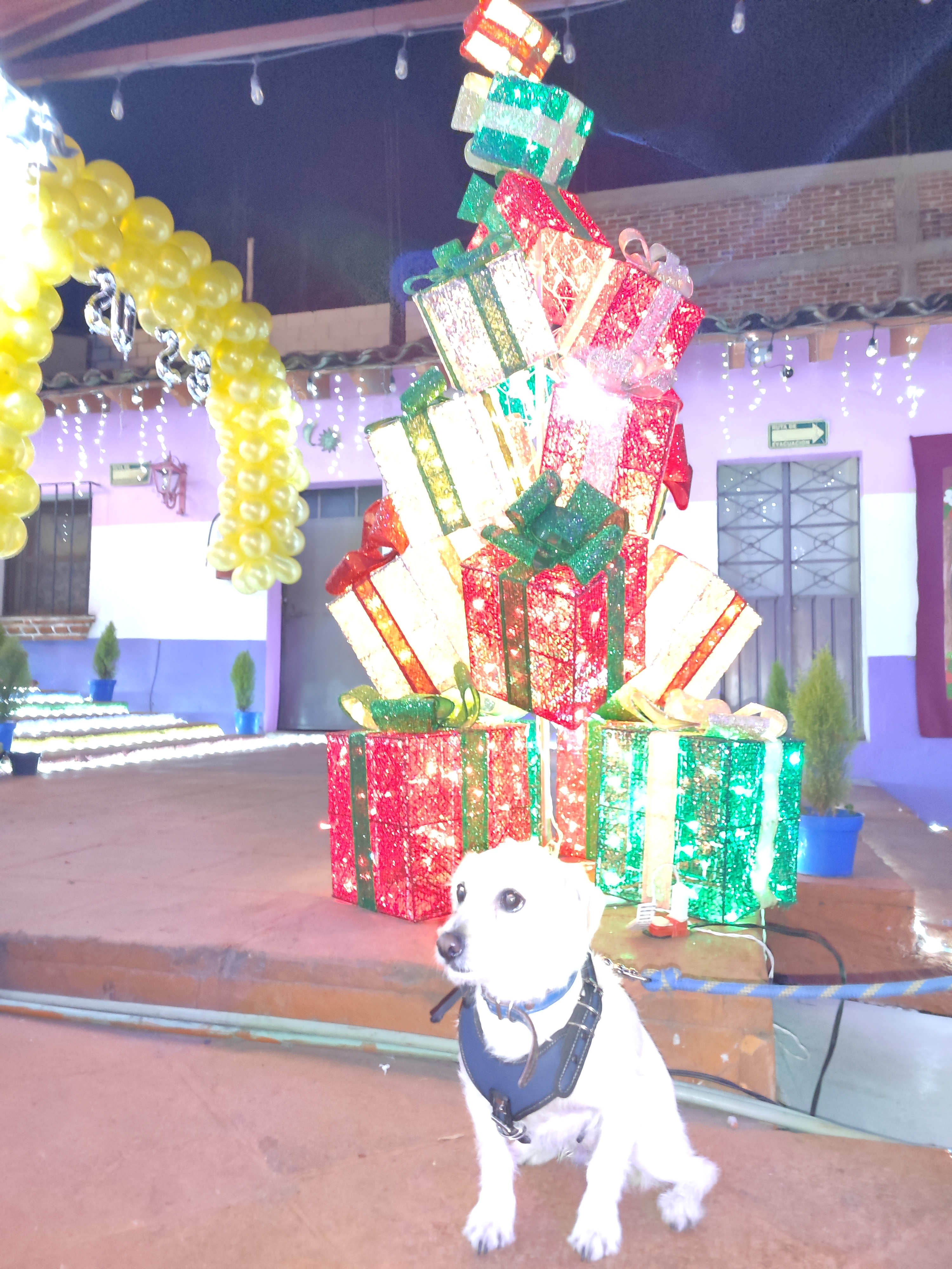 Restaurant Los Buenos Tiempos image 9