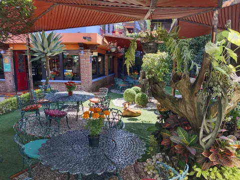 Restaurante Bar / Hotel El Pan Nuestro Gourmet image 4