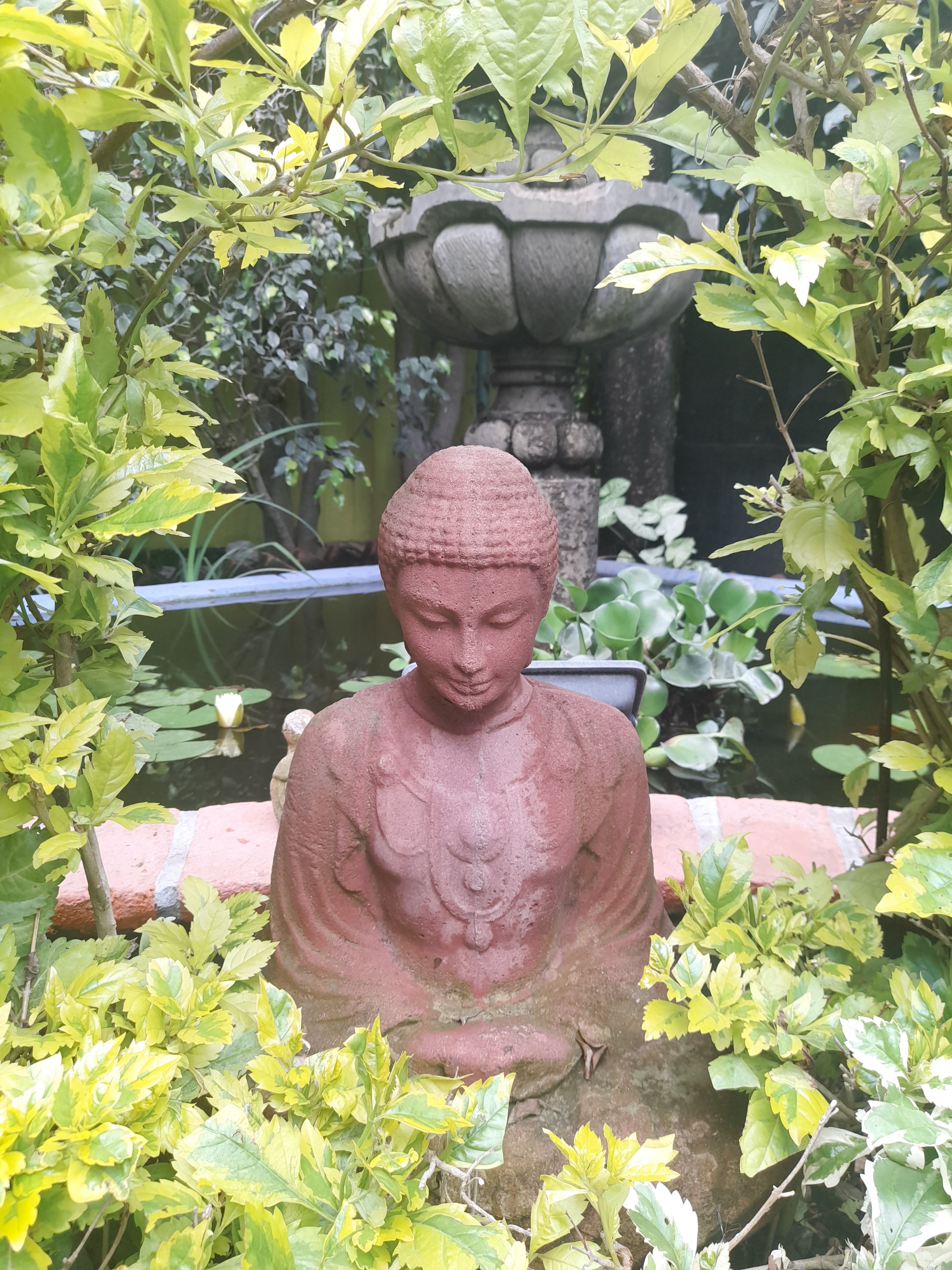 Restaurante Bar / Hotel El Pan Nuestro Gourmet image 6