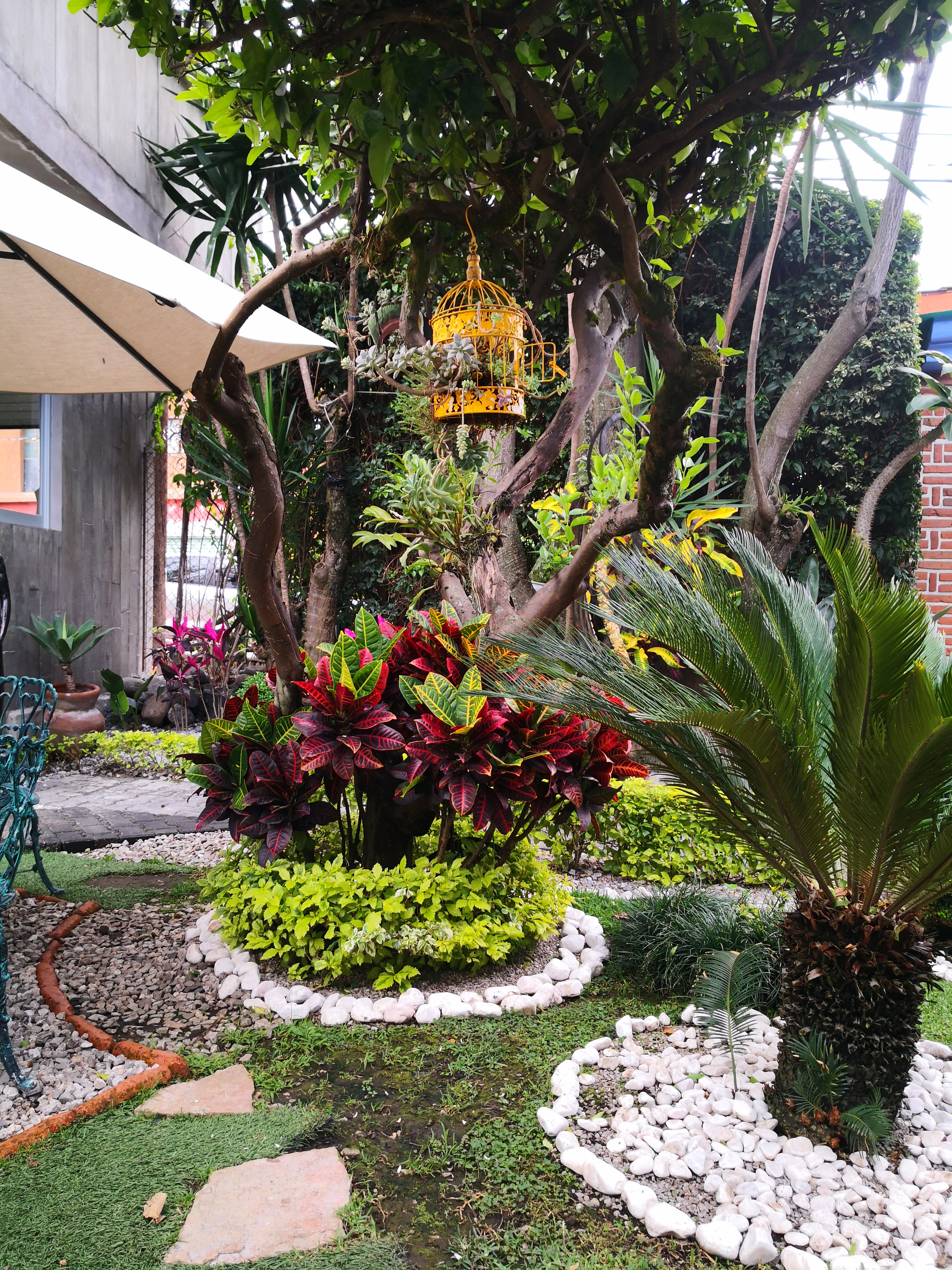 Restaurante Bar / Hotel El Pan Nuestro Gourmet image 7