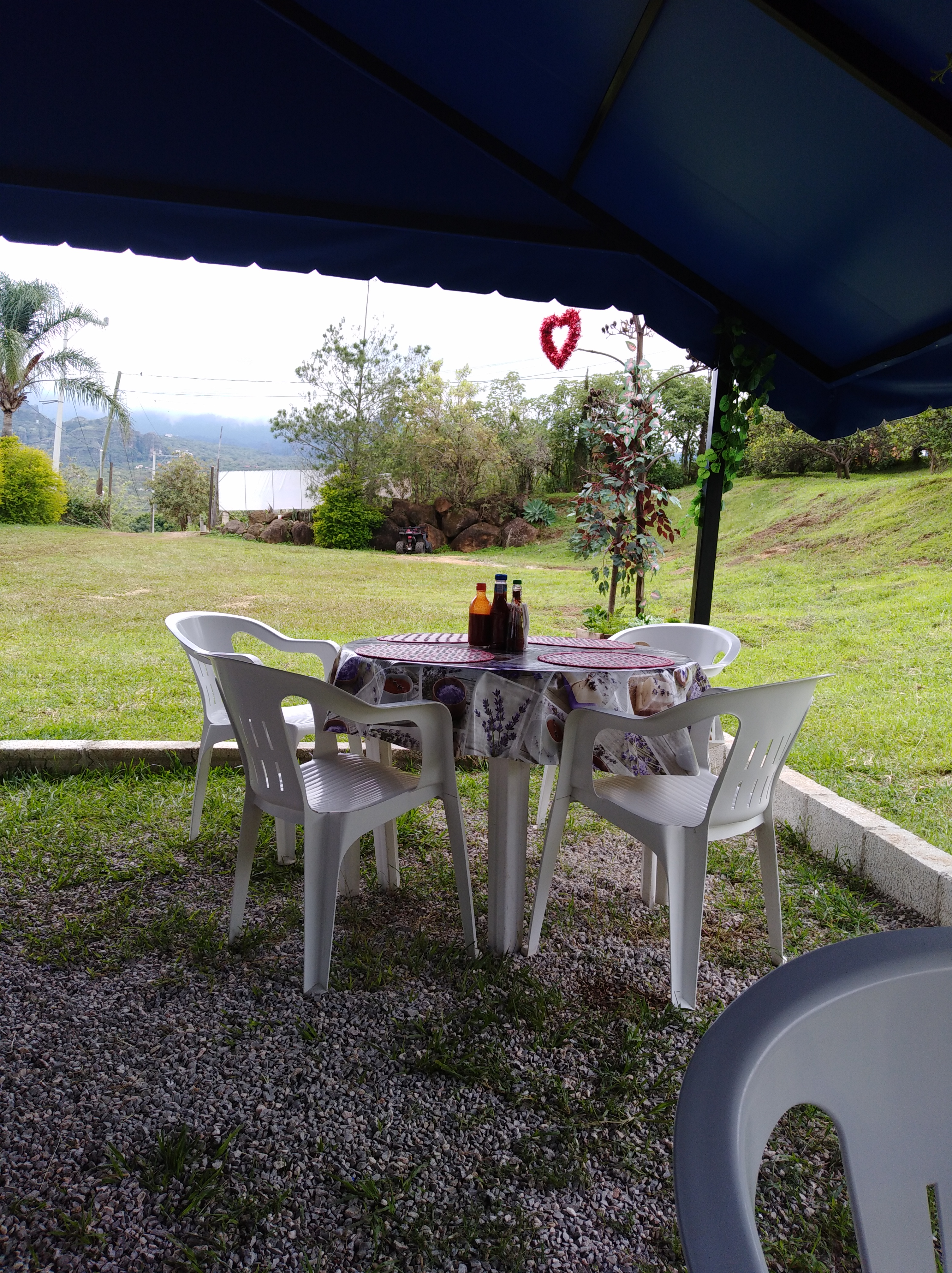 Mariscos "El tulipan" image 1