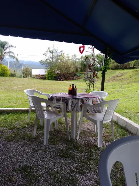 Mariscos "El tulipan" image 1
