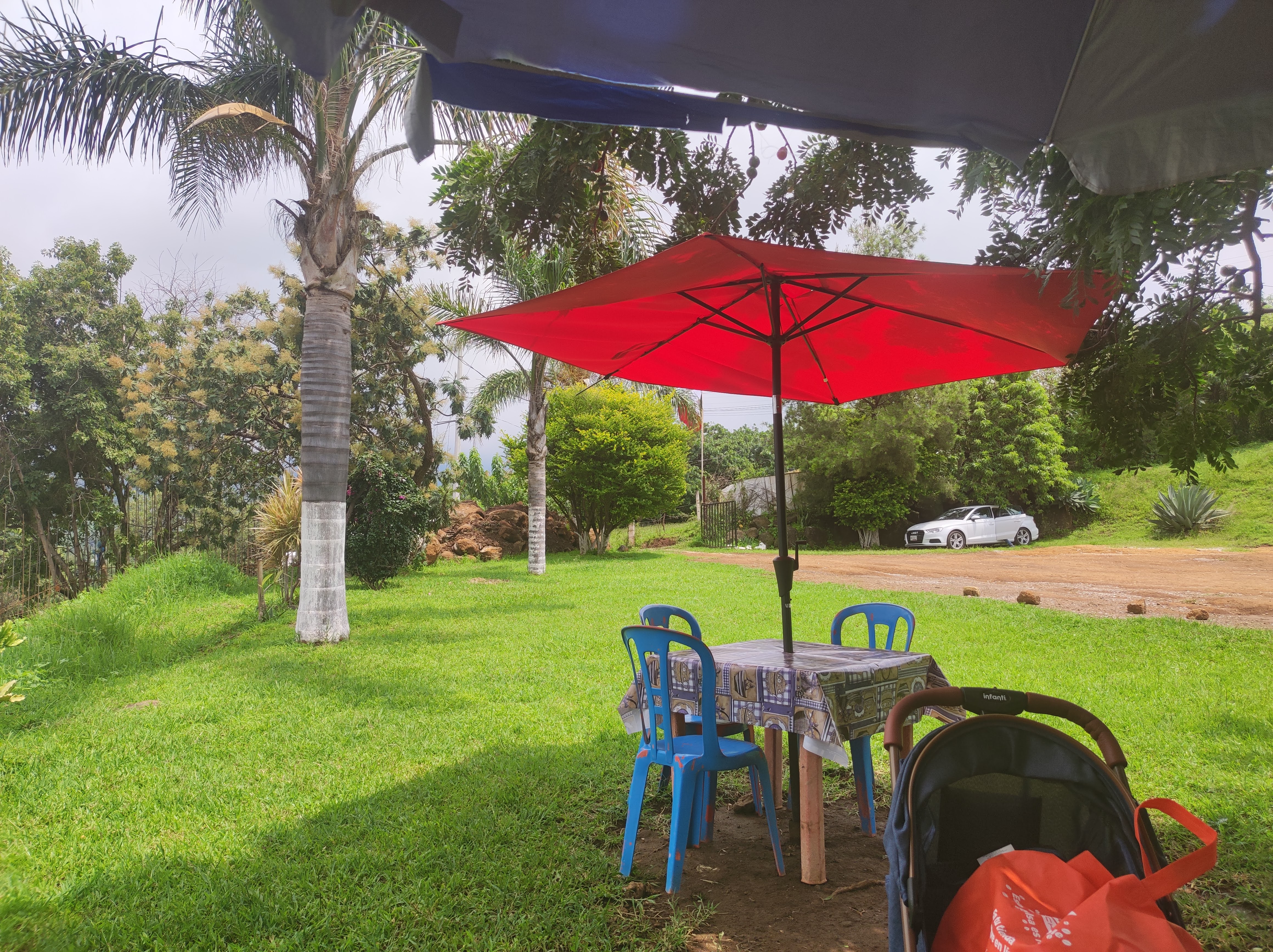 Mariscos "El tulipan" image 7