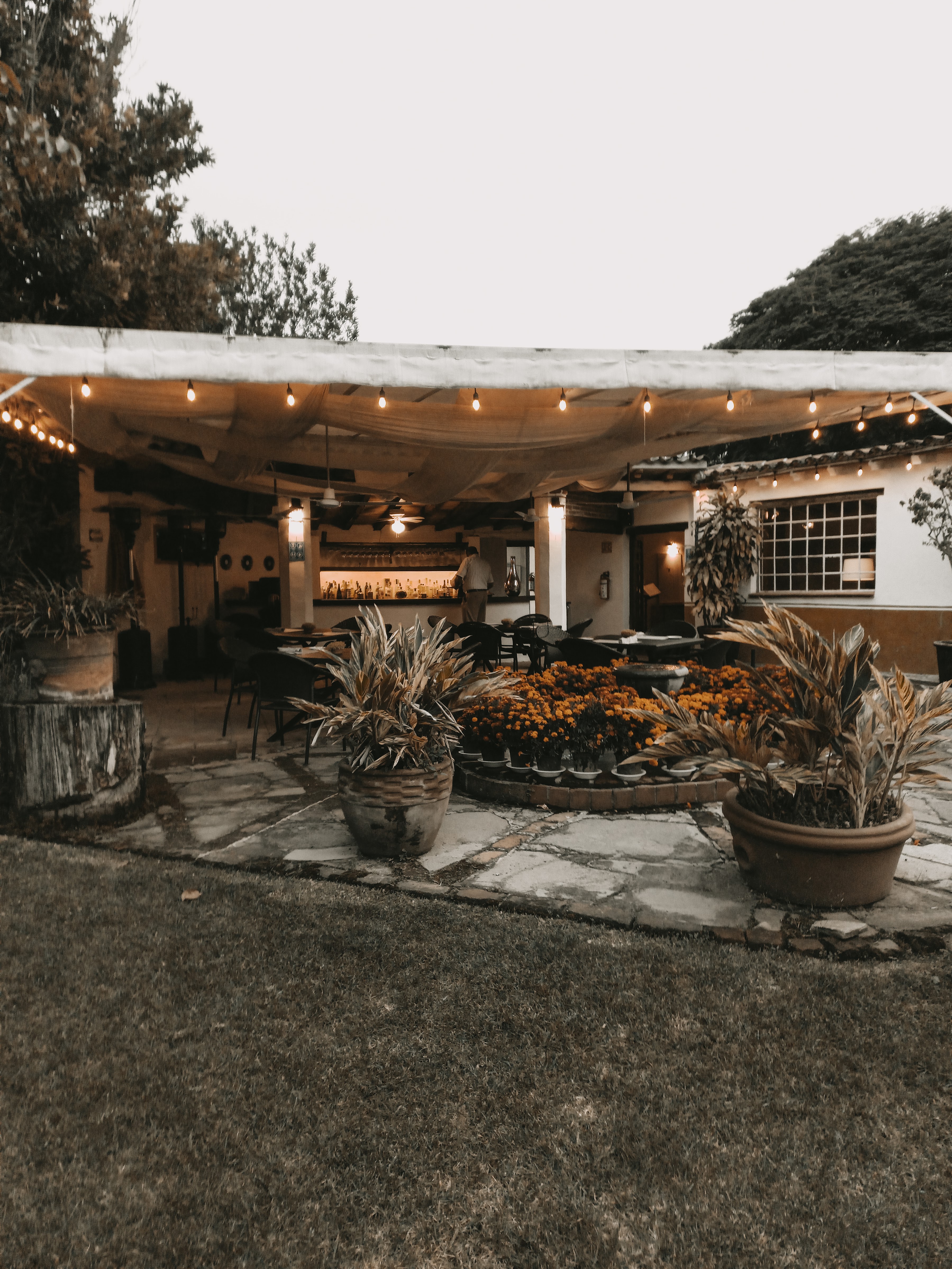 AMATE Restaurante en Tepoztlán image 3