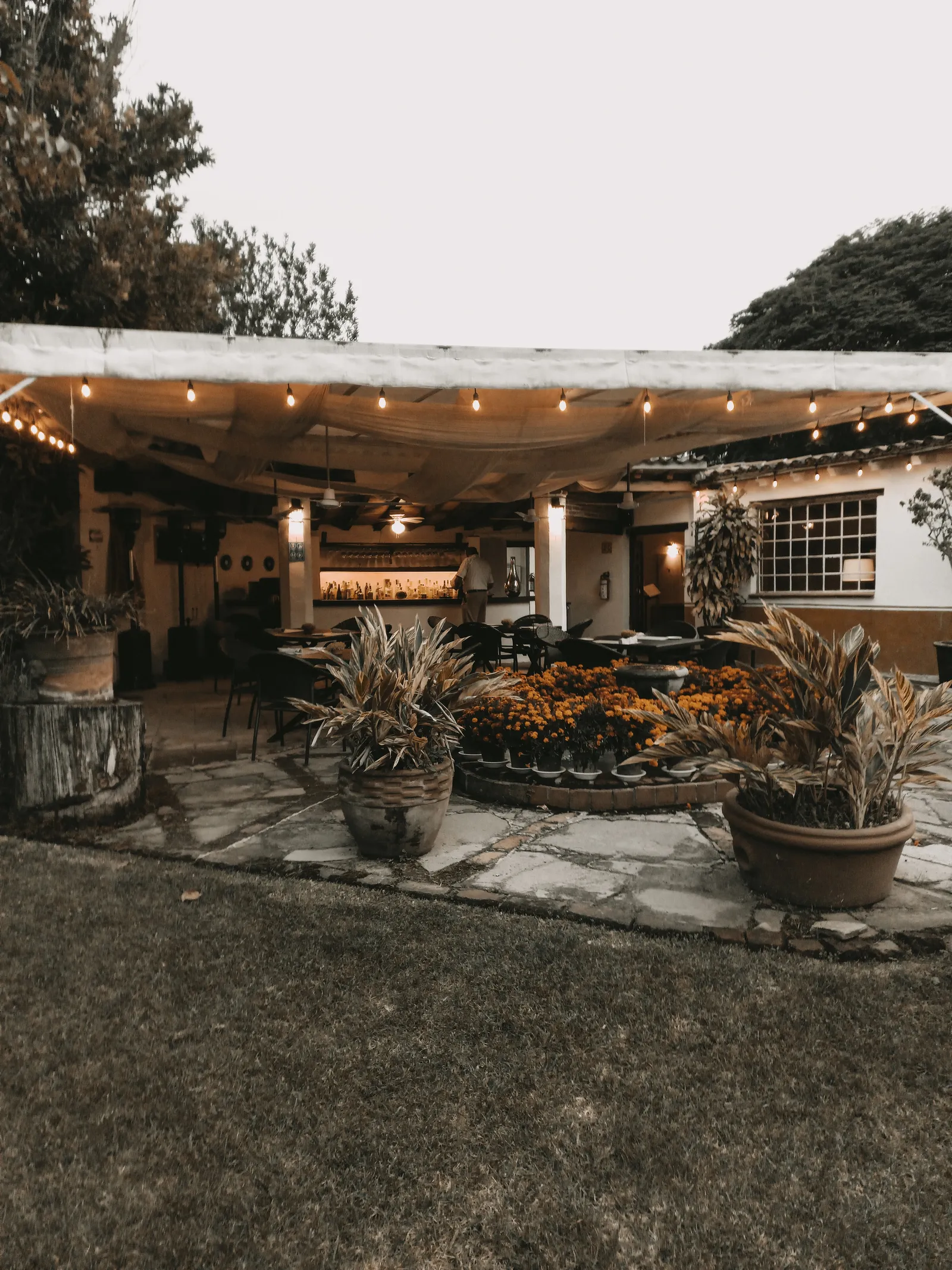AMATE Restaurante en Tepoztlán image 3