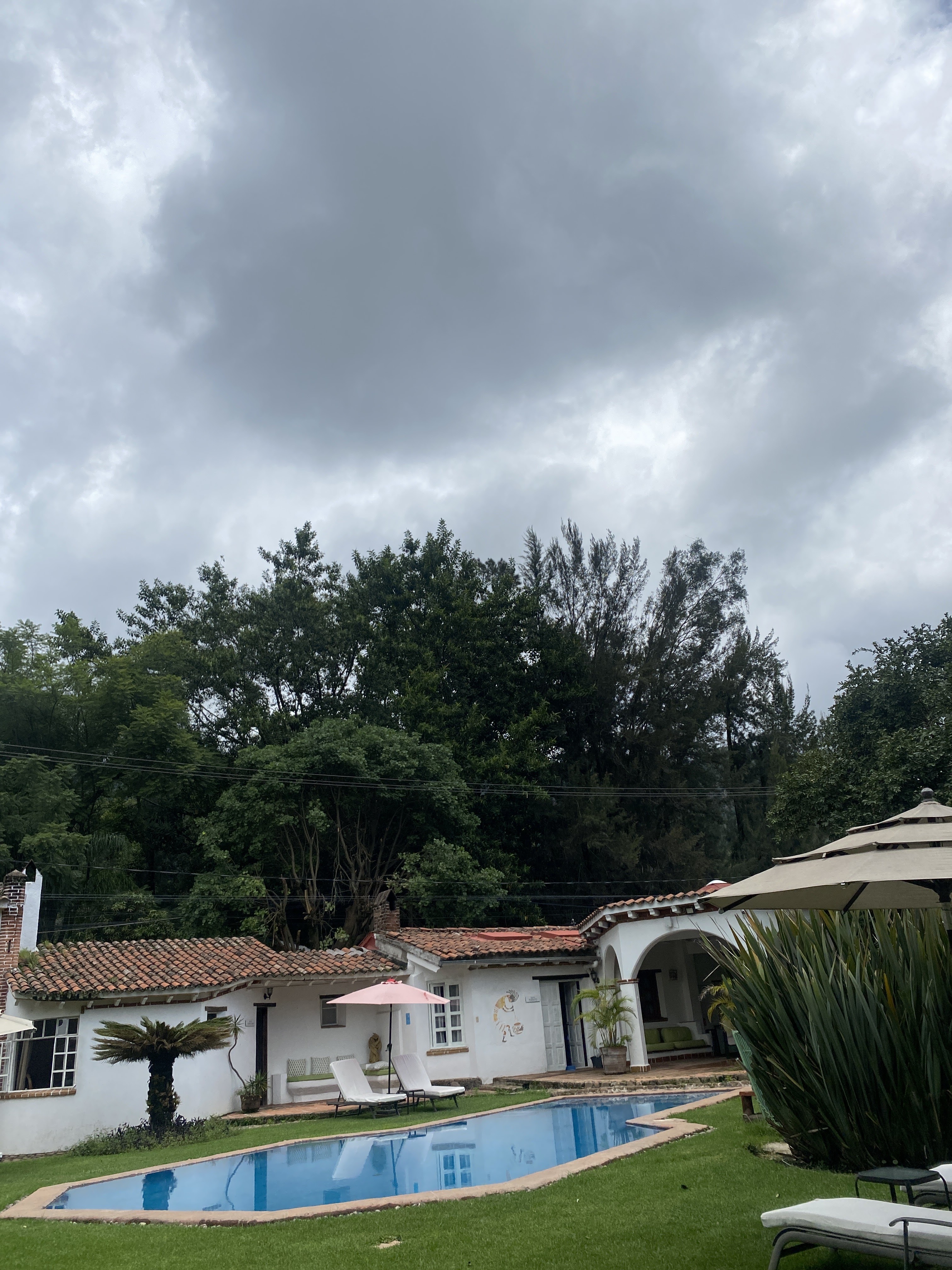 AMATE Restaurante en Tepoztlán image 5