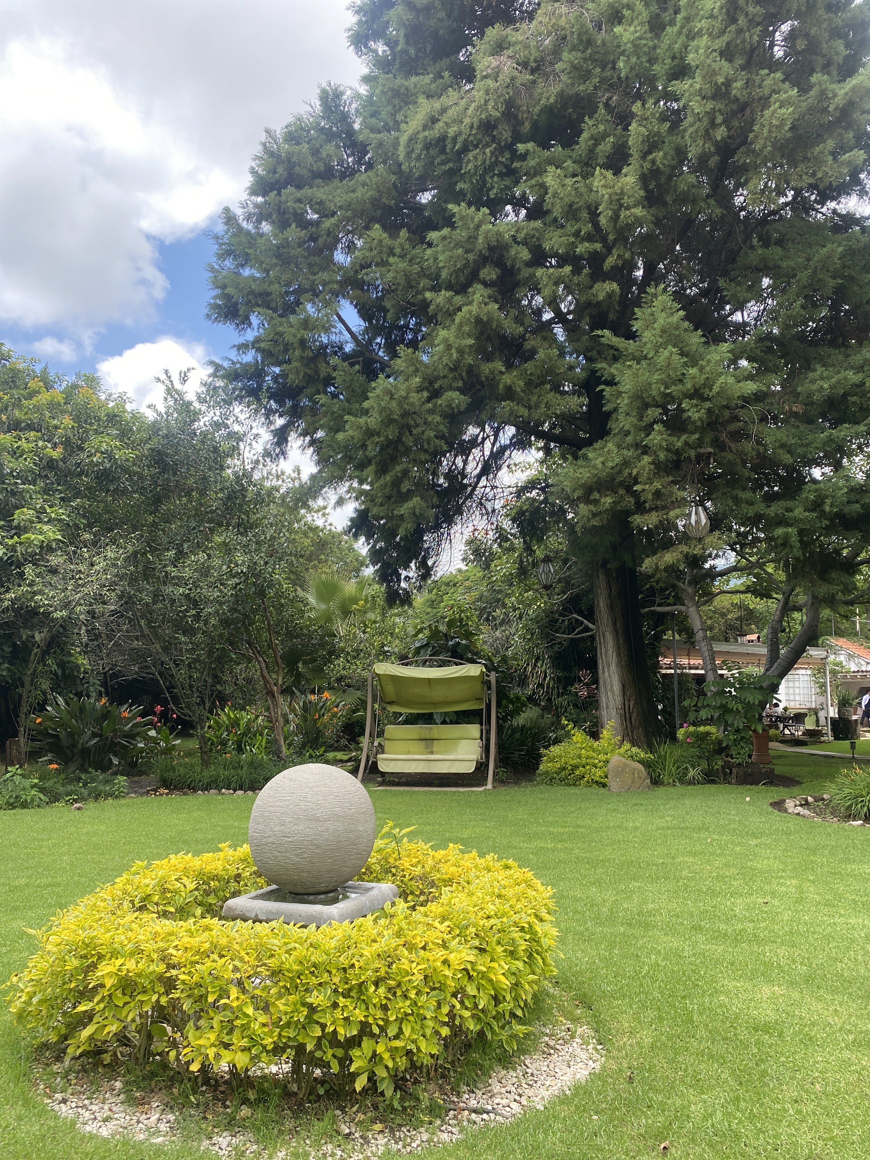 AMATE Restaurante en Tepoztlán image 6