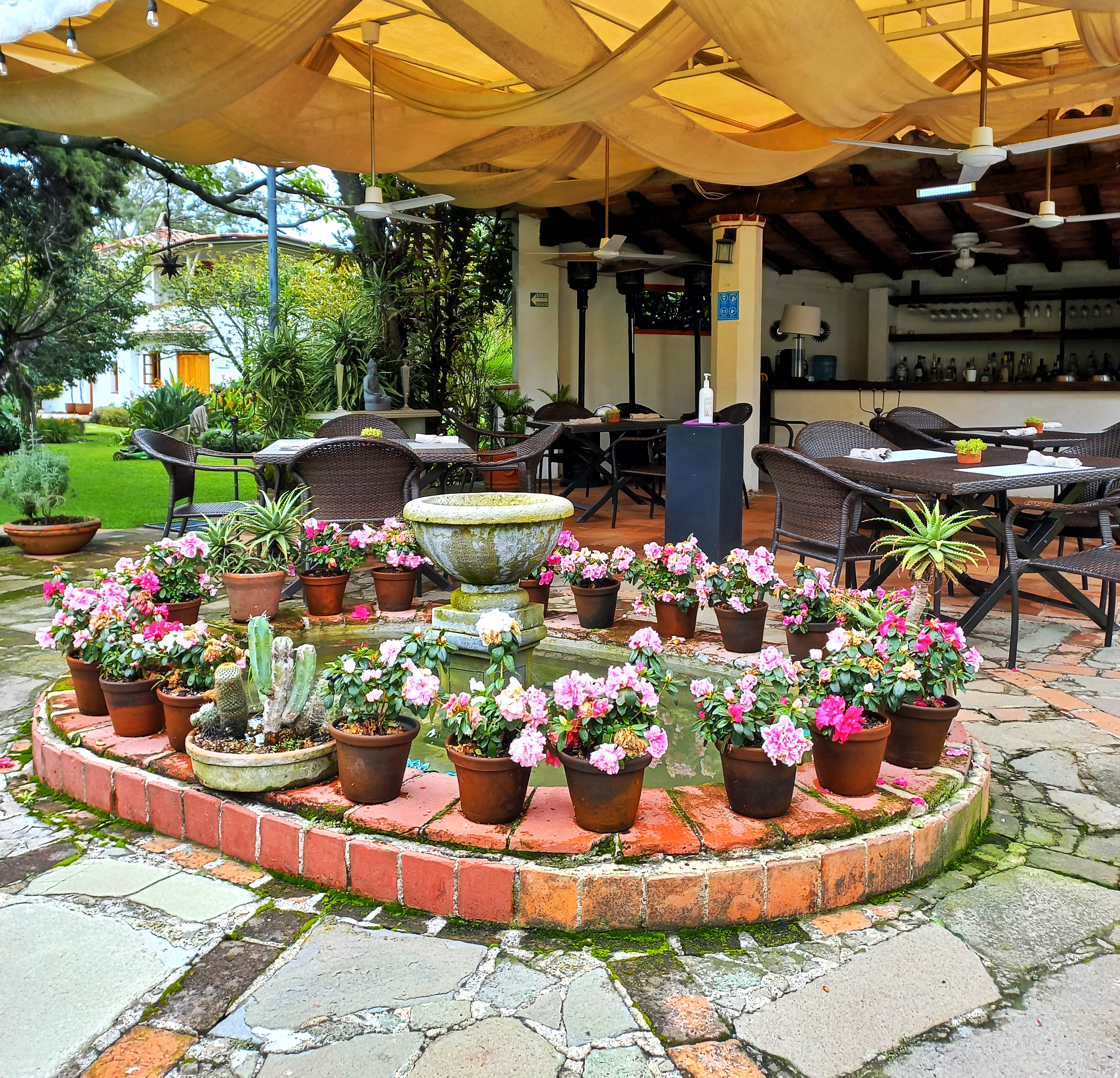 AMATE Restaurante en Tepoztlán image 7