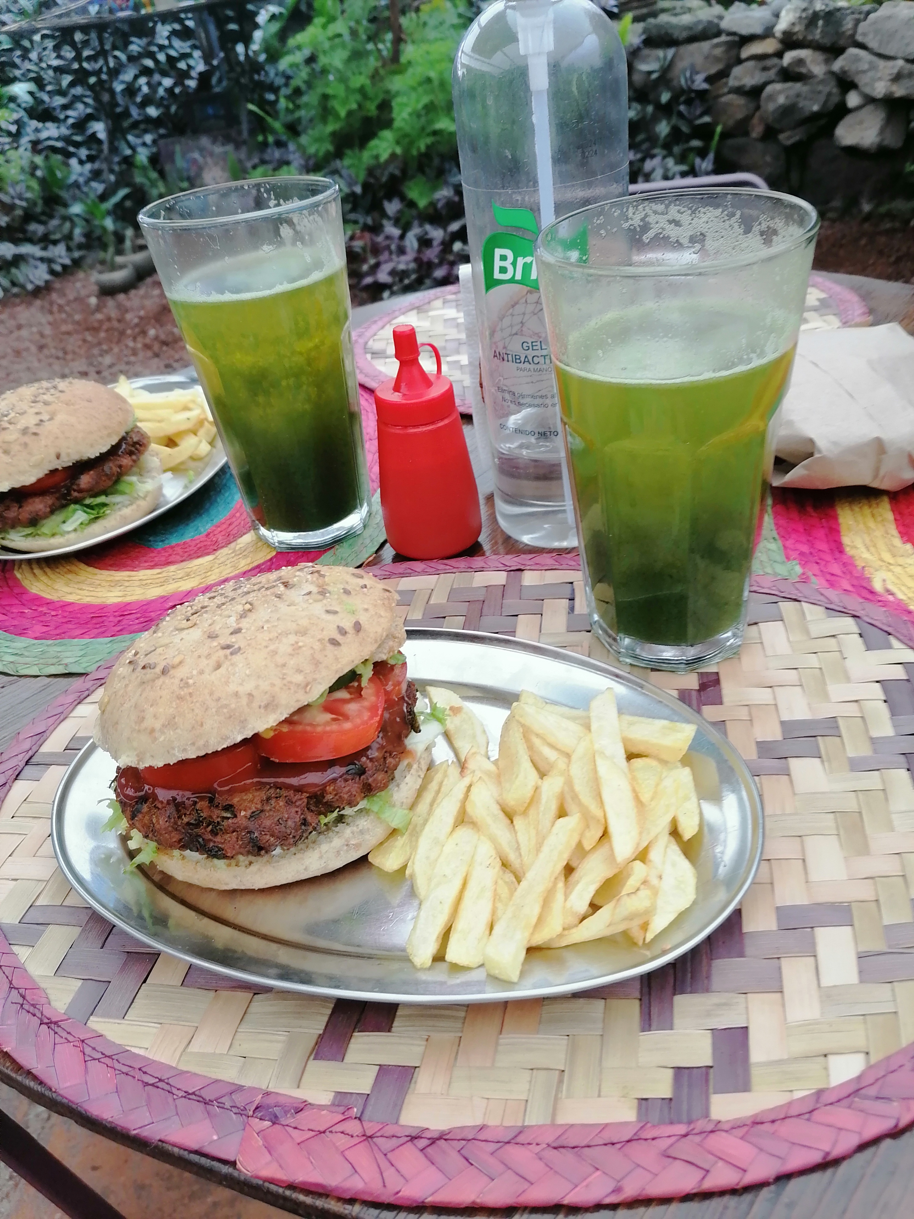 Govinda Ram Tepoztlán image 10