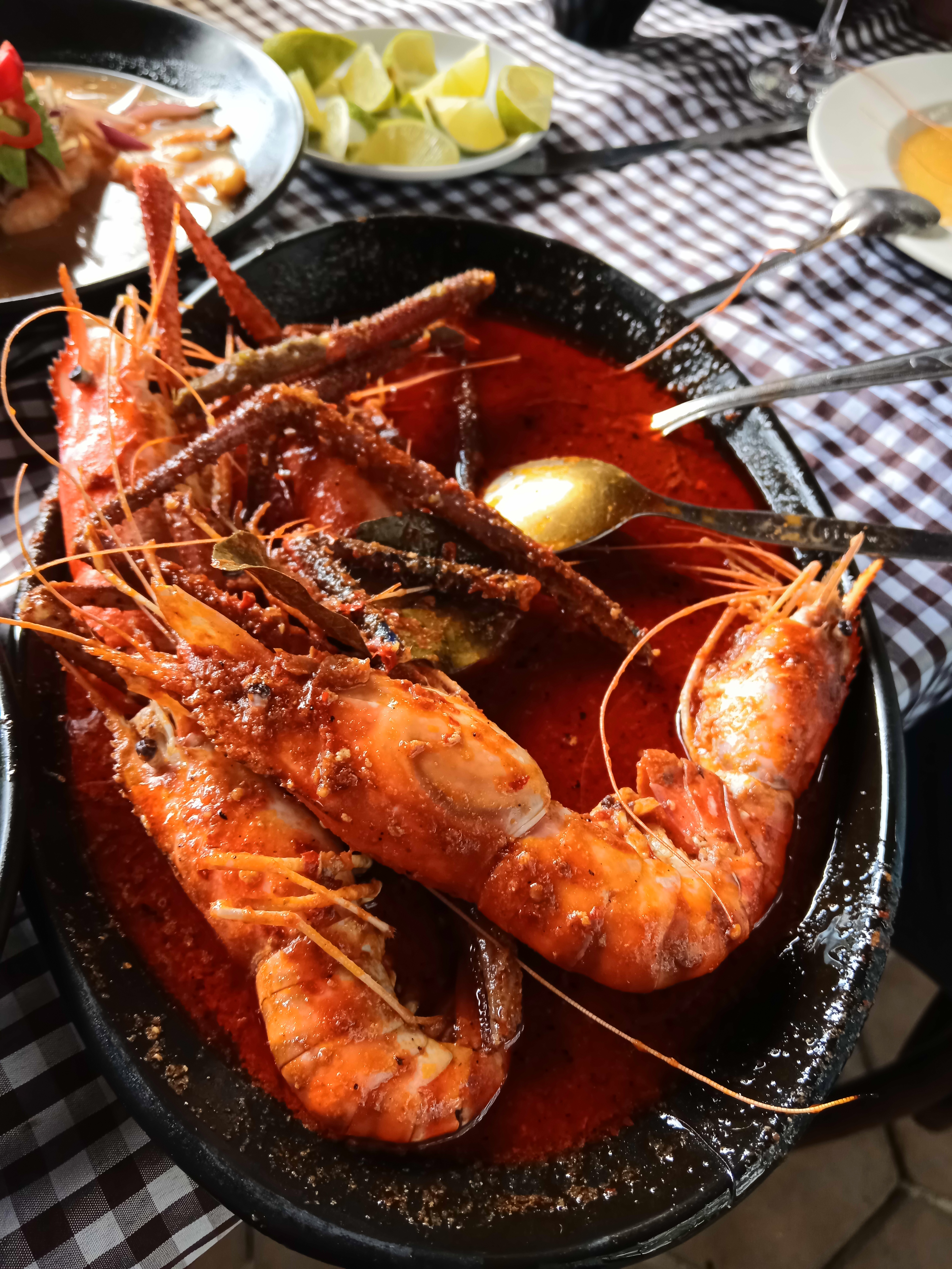 R Bonilla campestre image 4