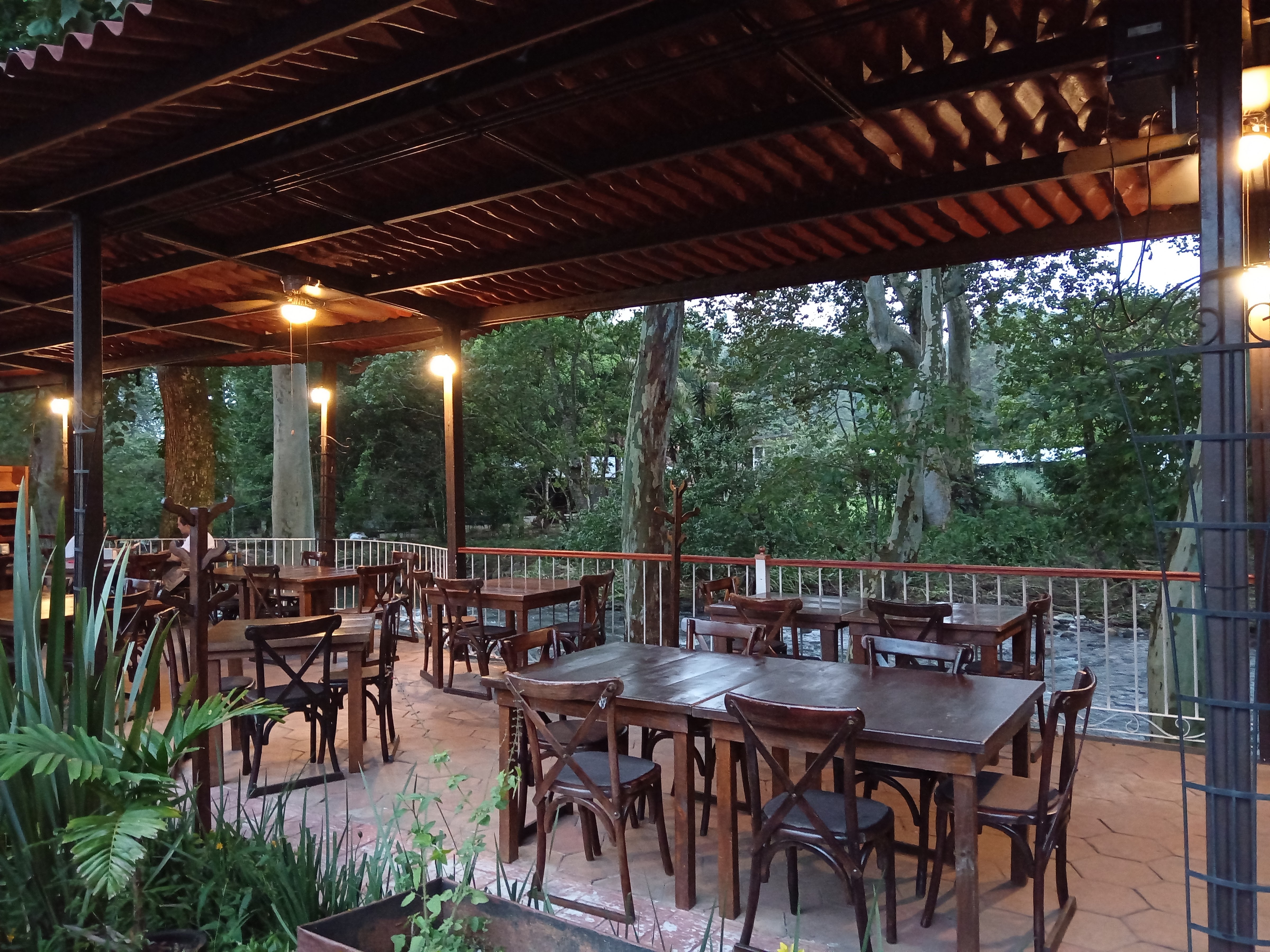 R Bonilla campestre image 5