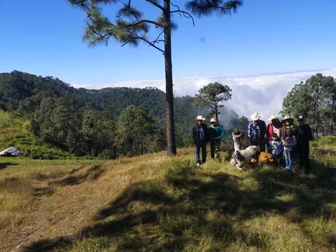 La Menudita image 1