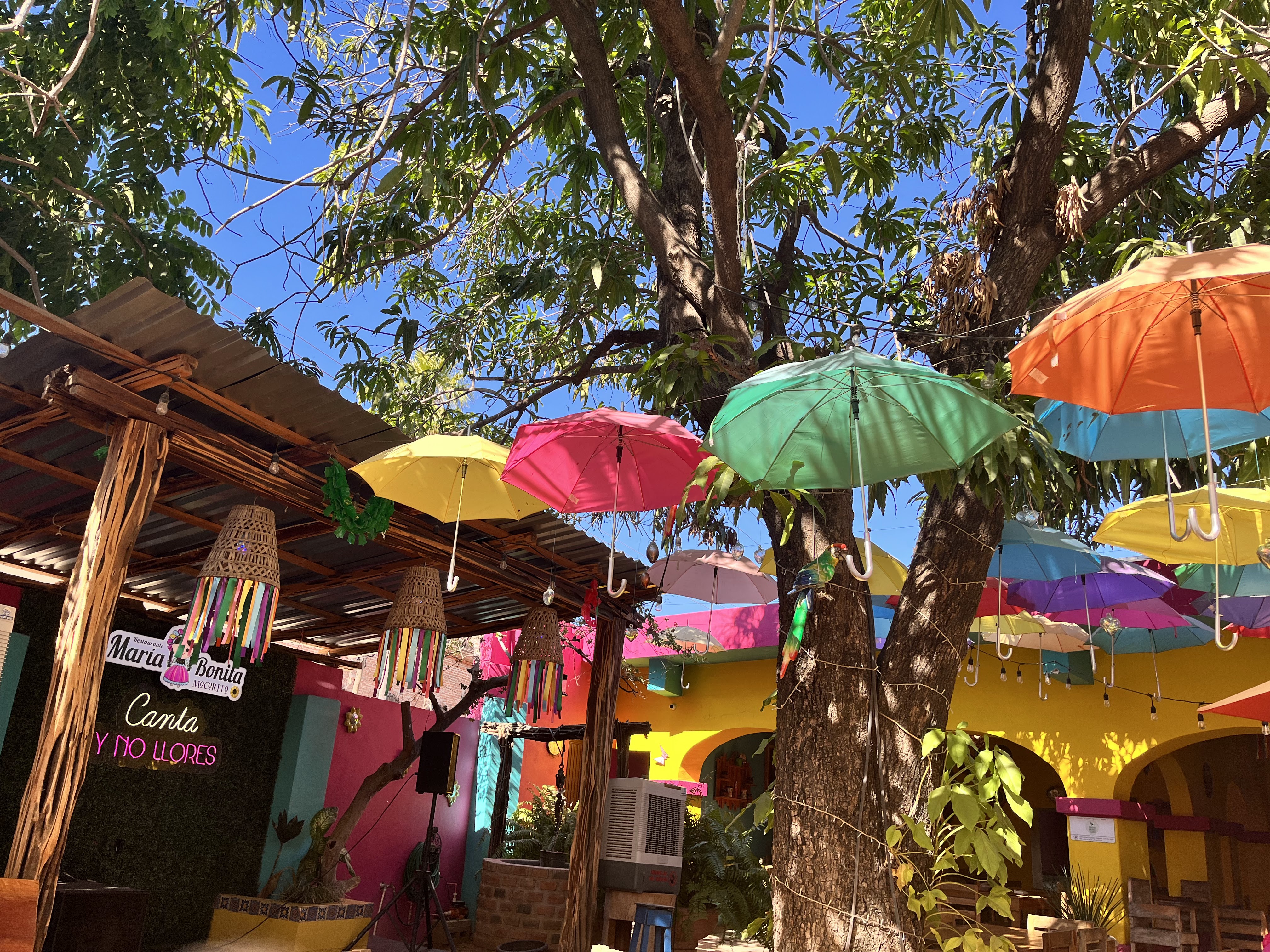 María Bonita Mocorito image 5