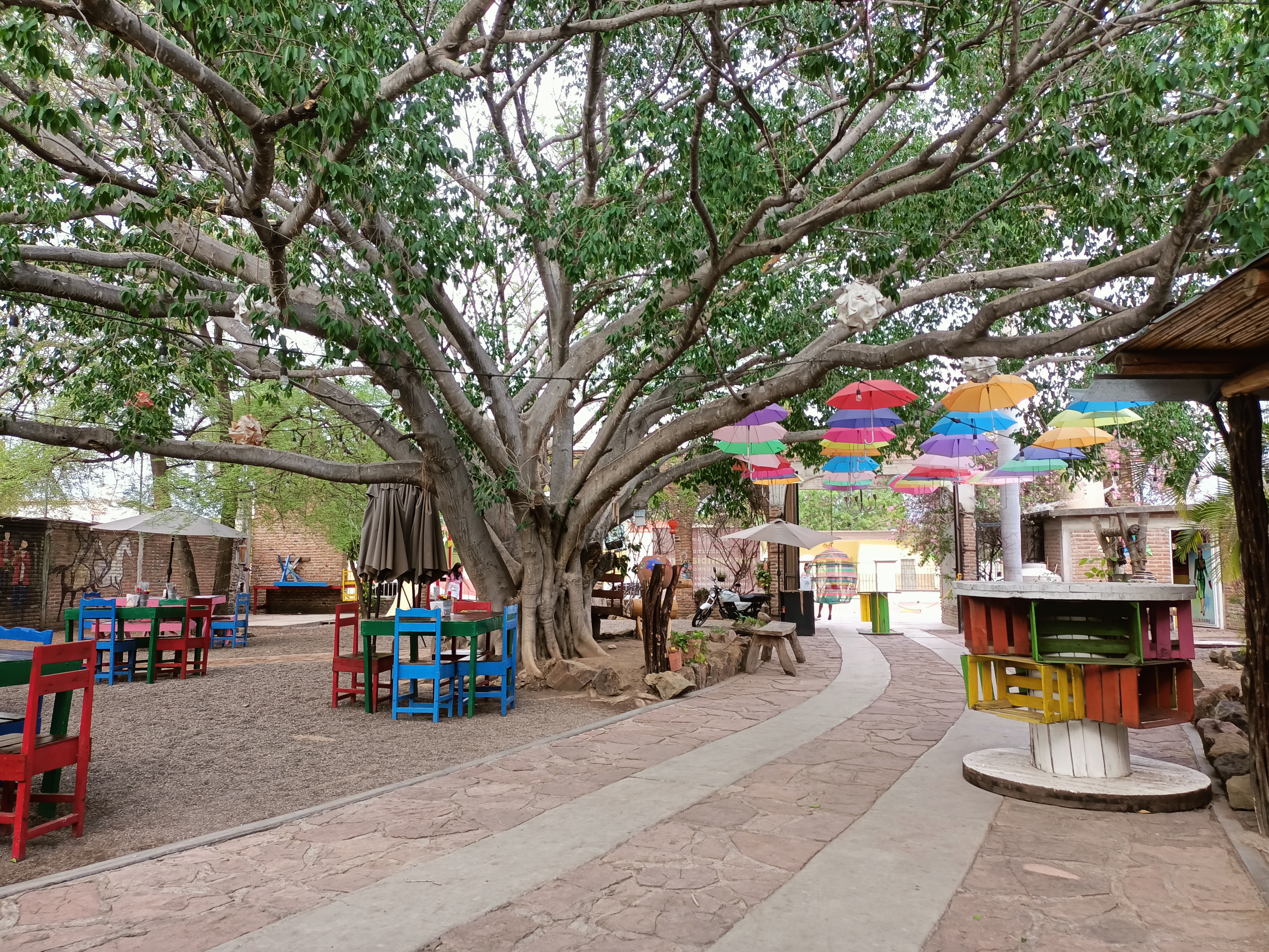 María Bonita Mocorito image 8