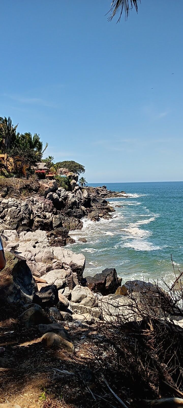 Restaurant Las Palmas image 10