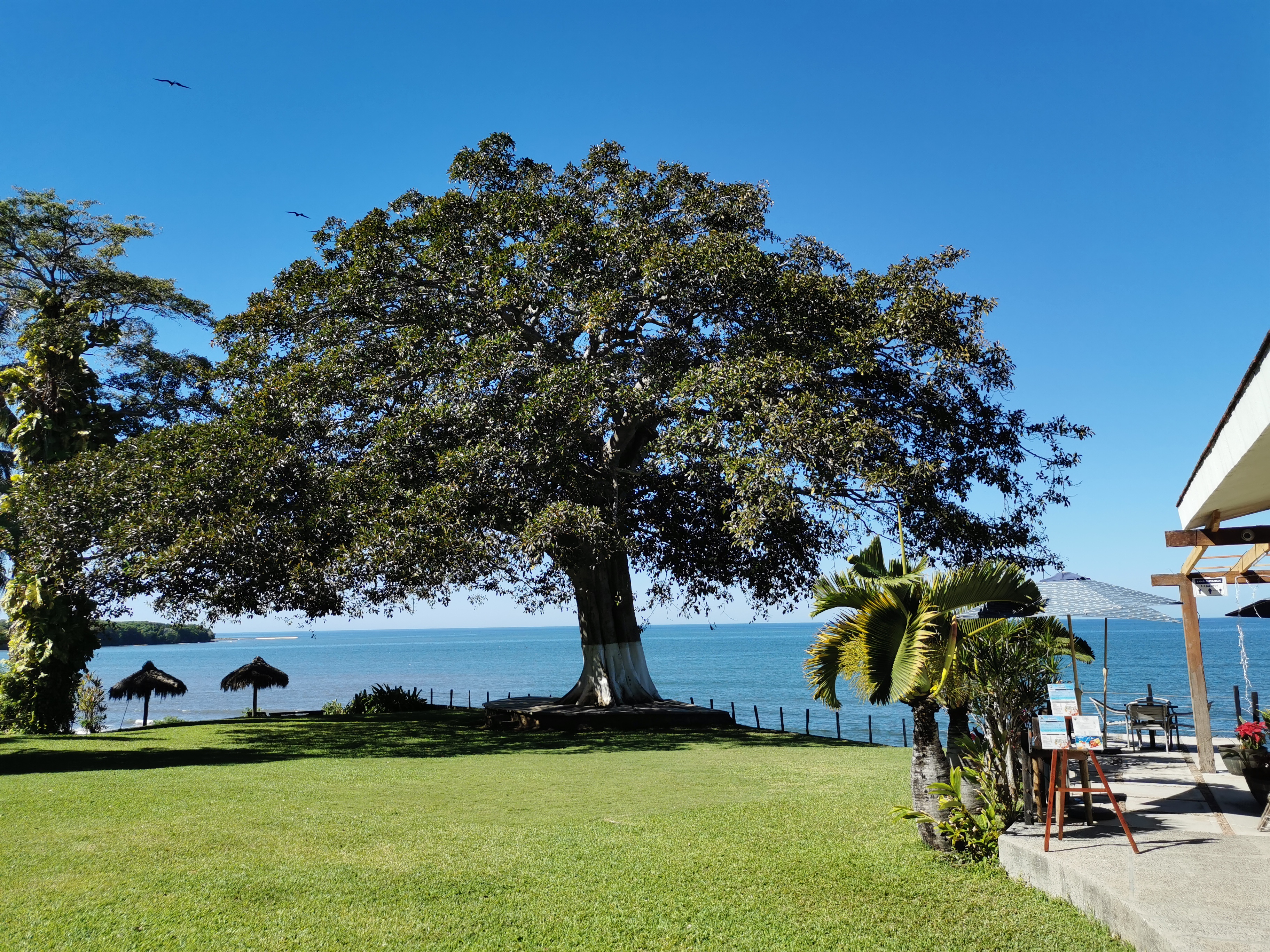 Restaurant El Eden image 4