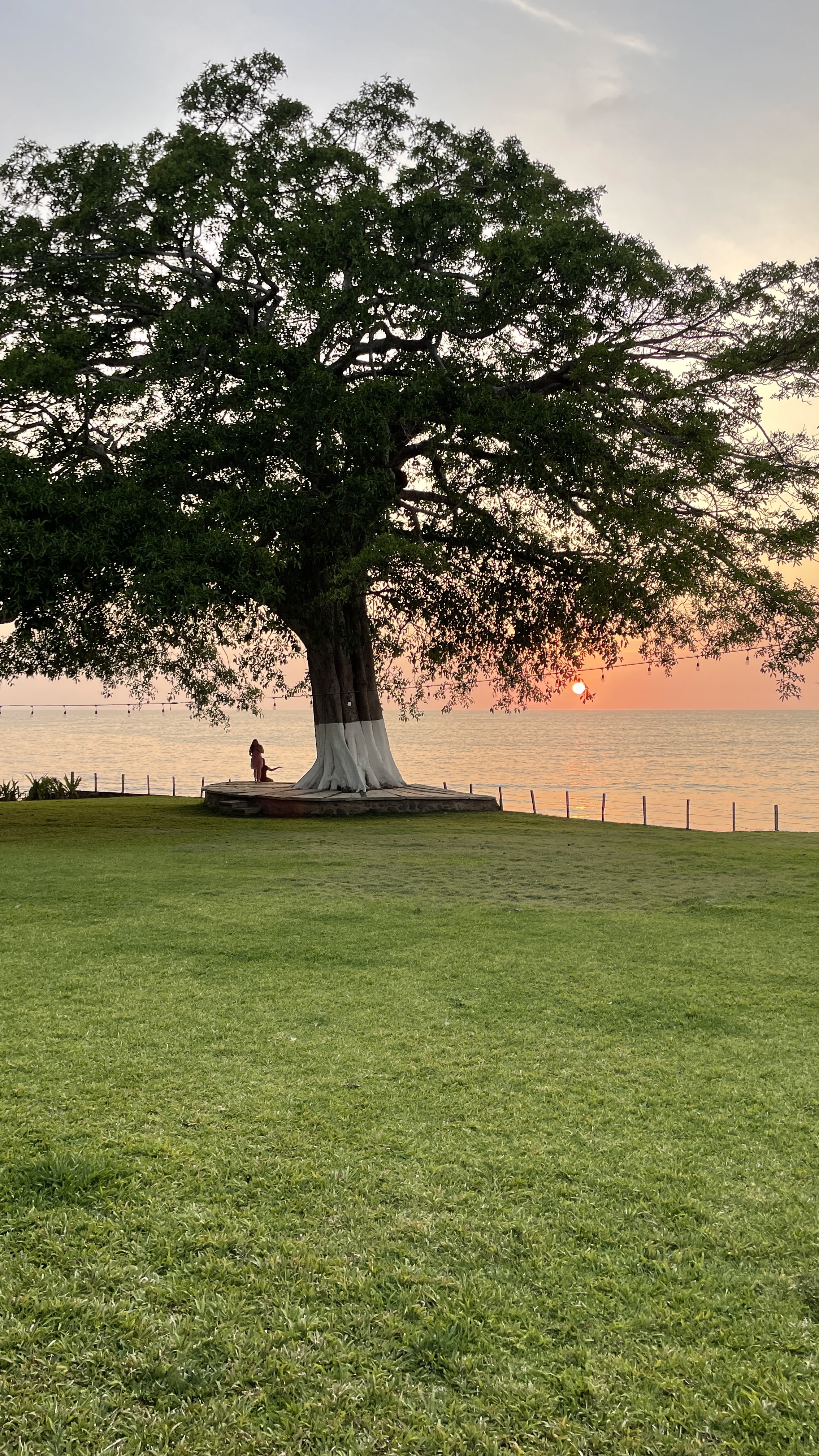 Restaurant El Eden image 5