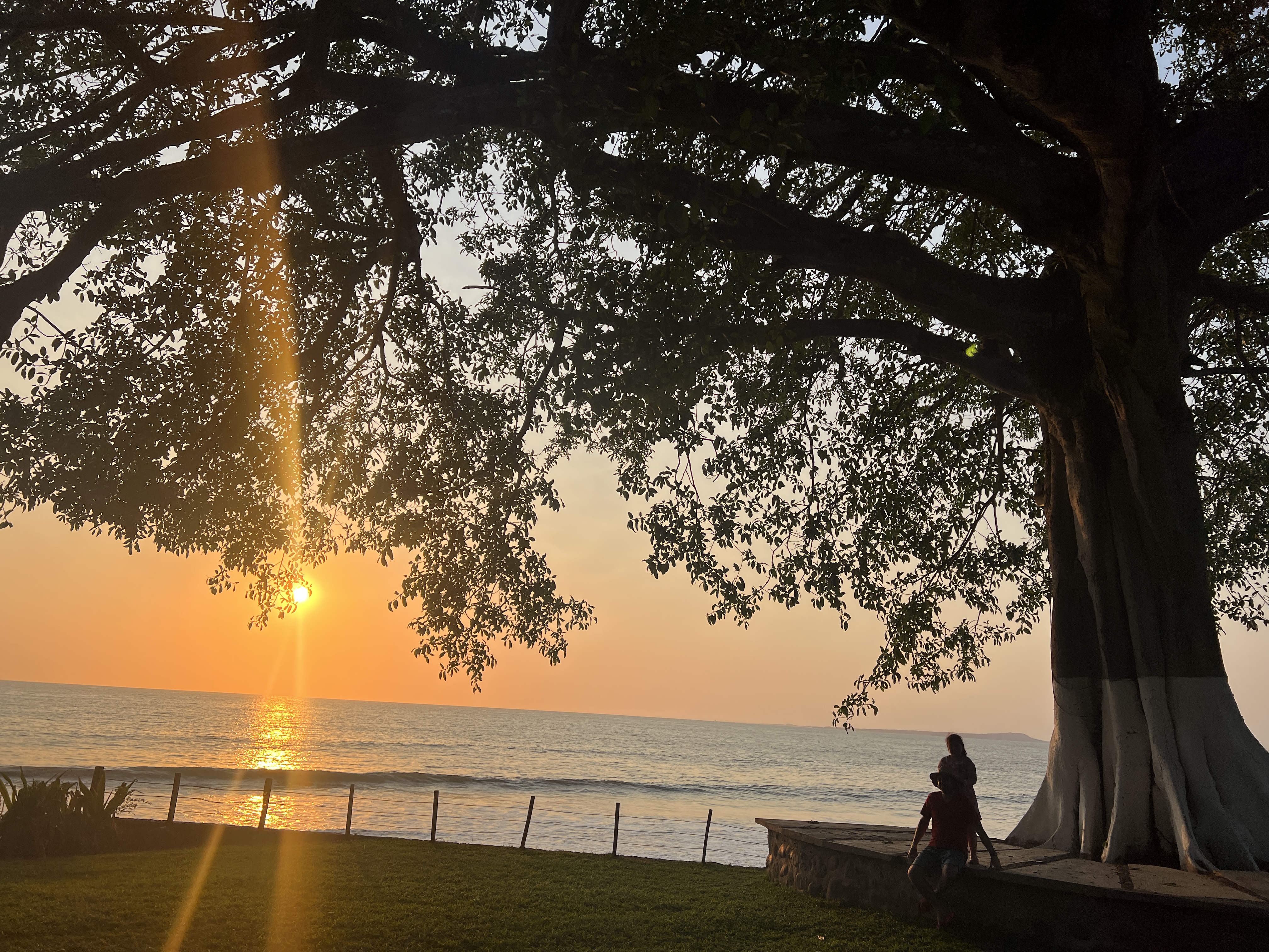 Restaurant El Eden image 10