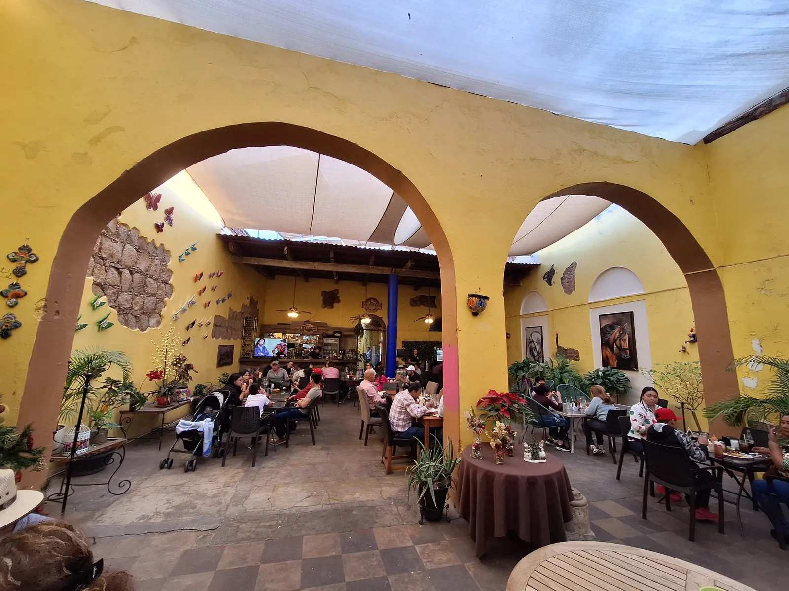 El Texano image 3
